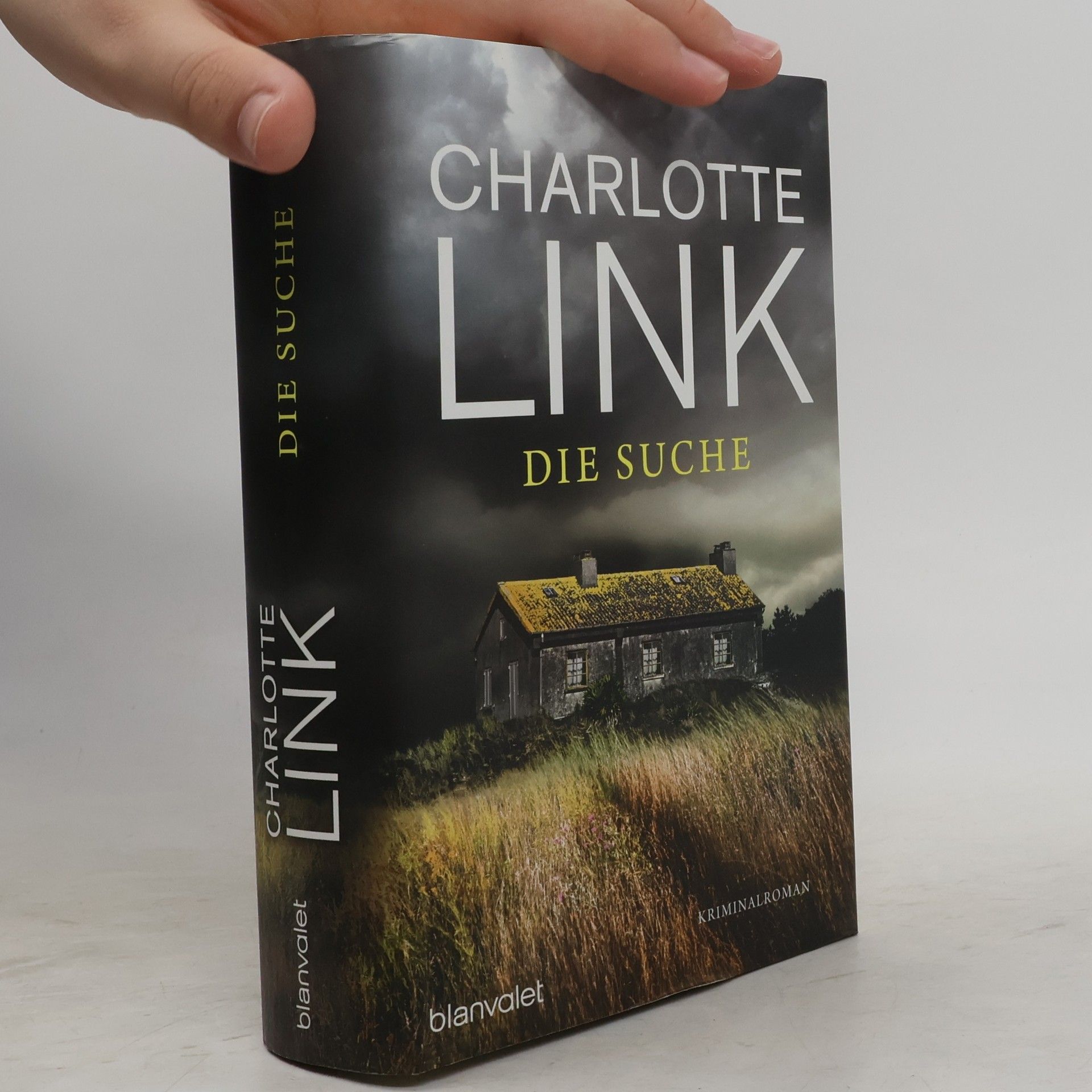 Charlotte Link Die Suche