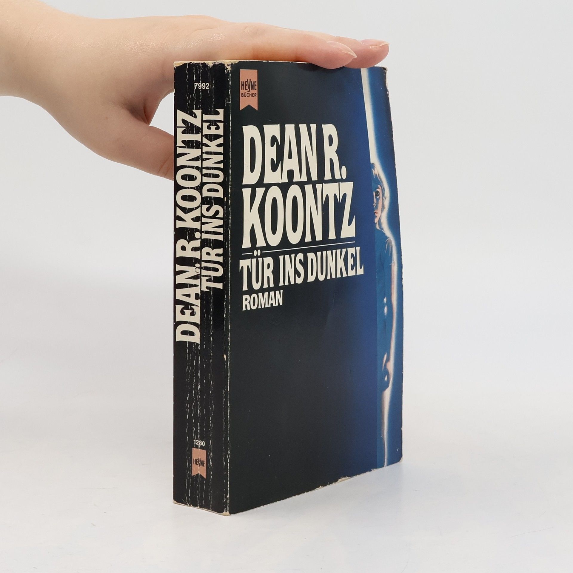Dean Ray Koontz Tür ins Dunkel