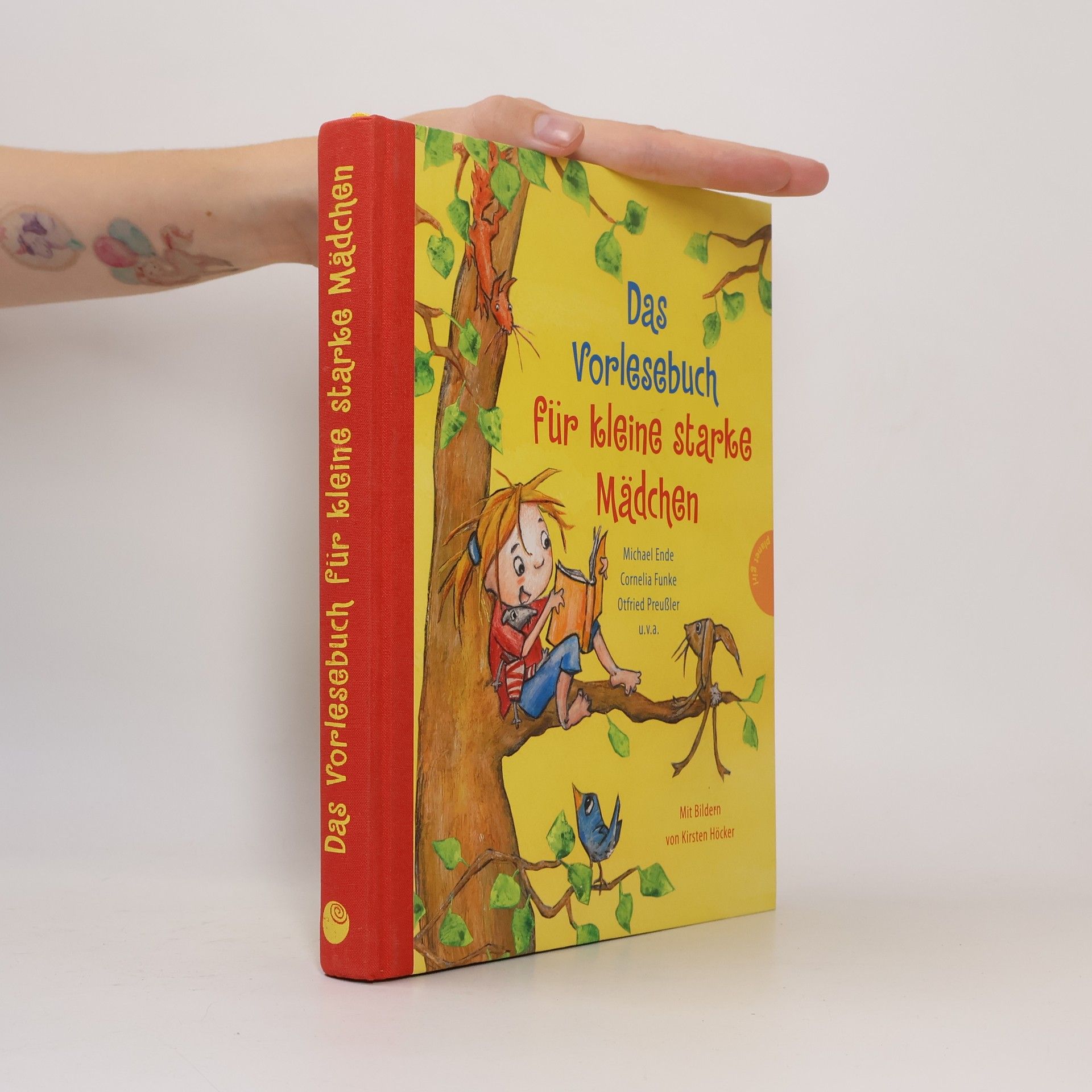 Kirsten Höcker Das Vorlesebuch für kleine starke Mädchen
