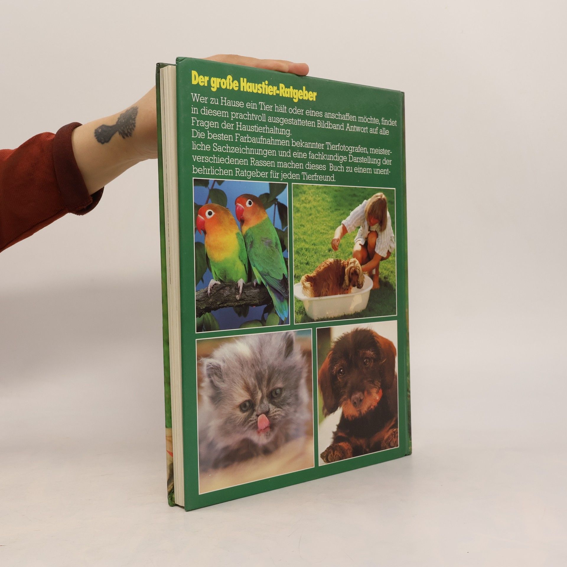 Autorenkollektiv Der große Haustier-Ratgeber