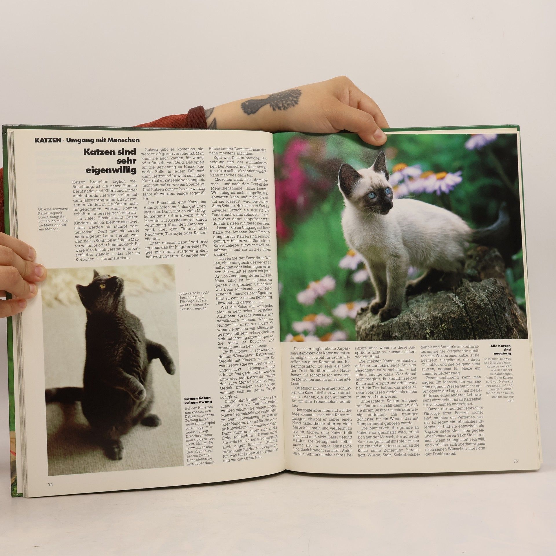Autorenkollektiv Der große Haustier-Ratgeber