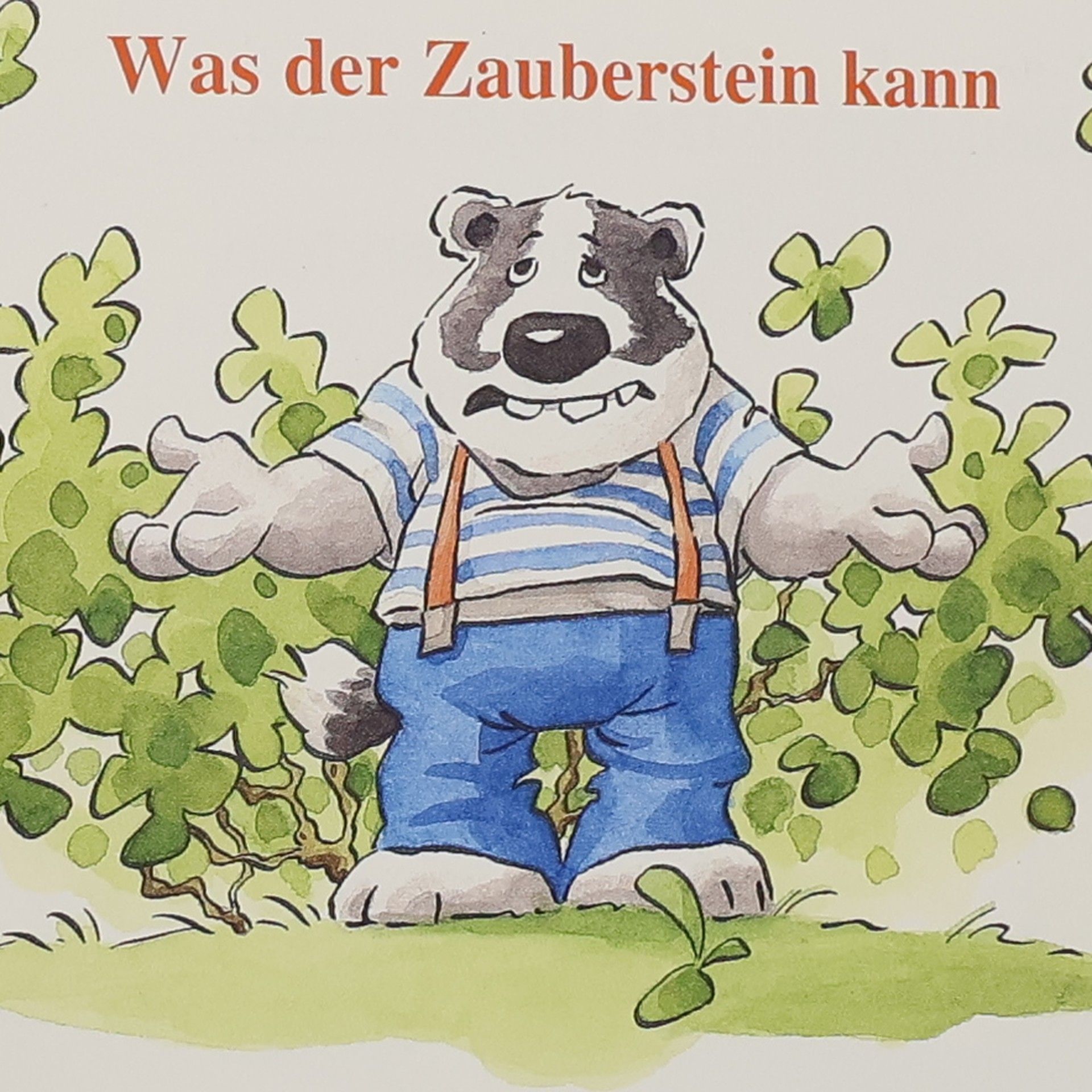 Nortrud Boge-Erli Die Freunde im Zauberwald - der gestohlene Hexenkoffer