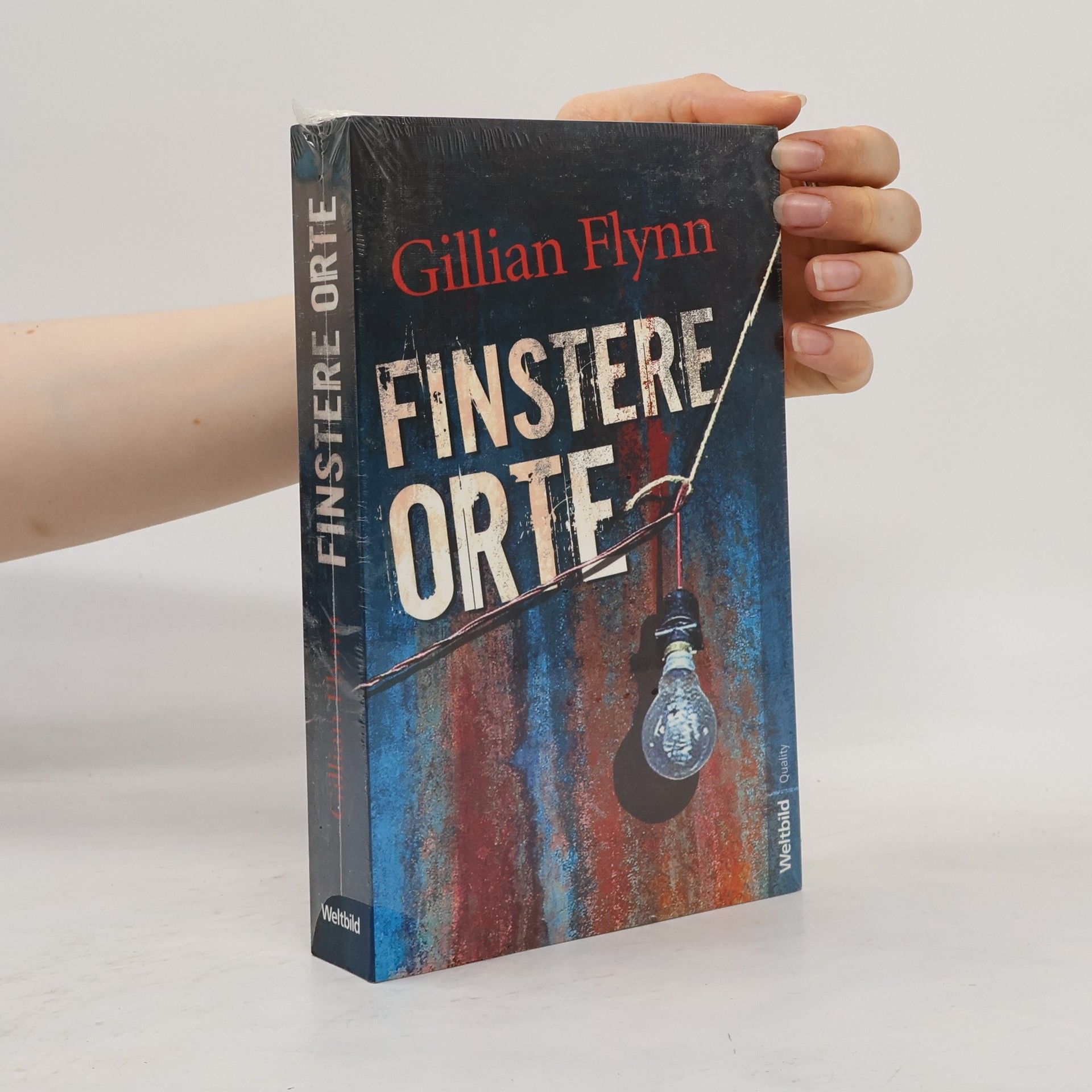 Gillian Flynn Finstere Orte