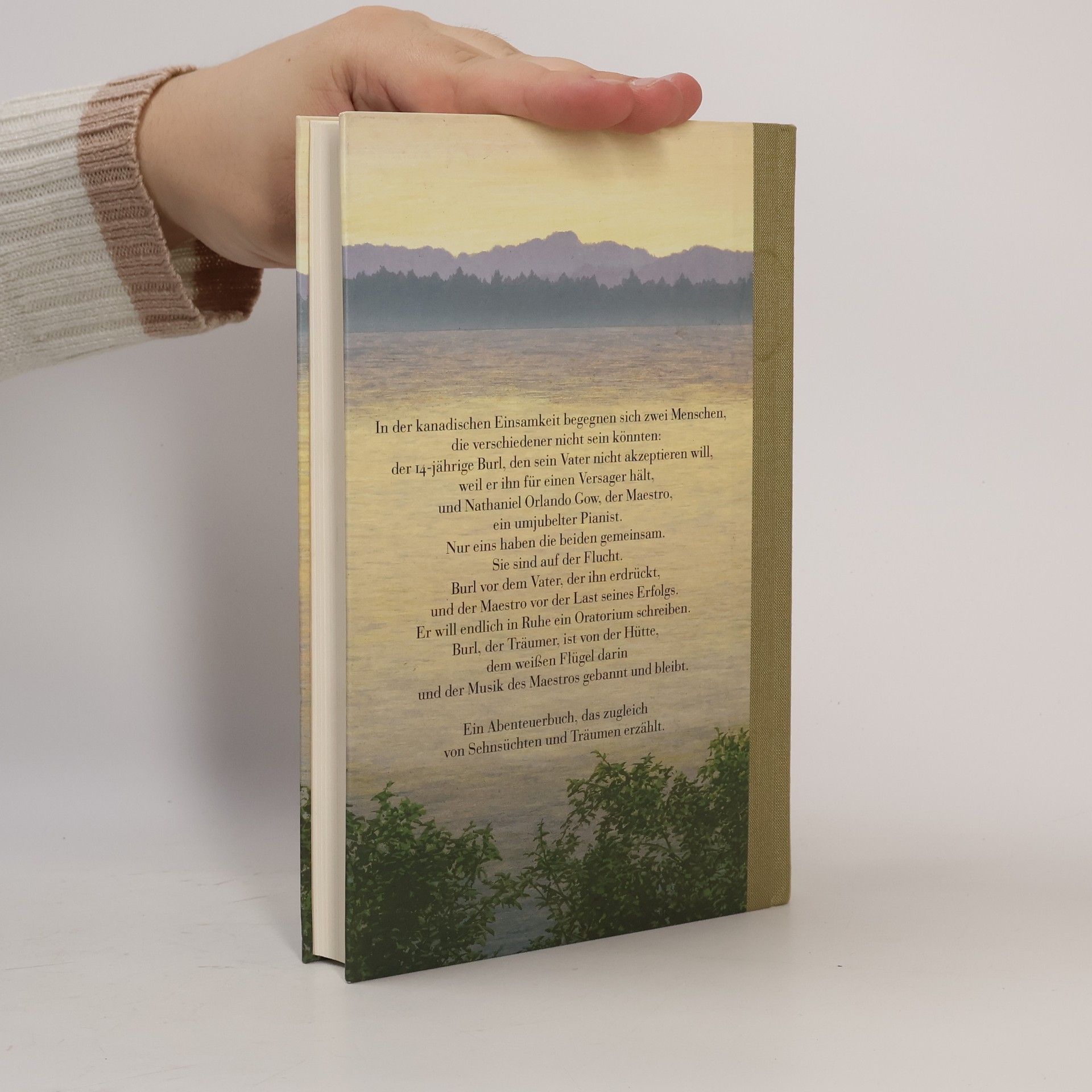 Tim Wynne-Jones Flucht in die Wälder