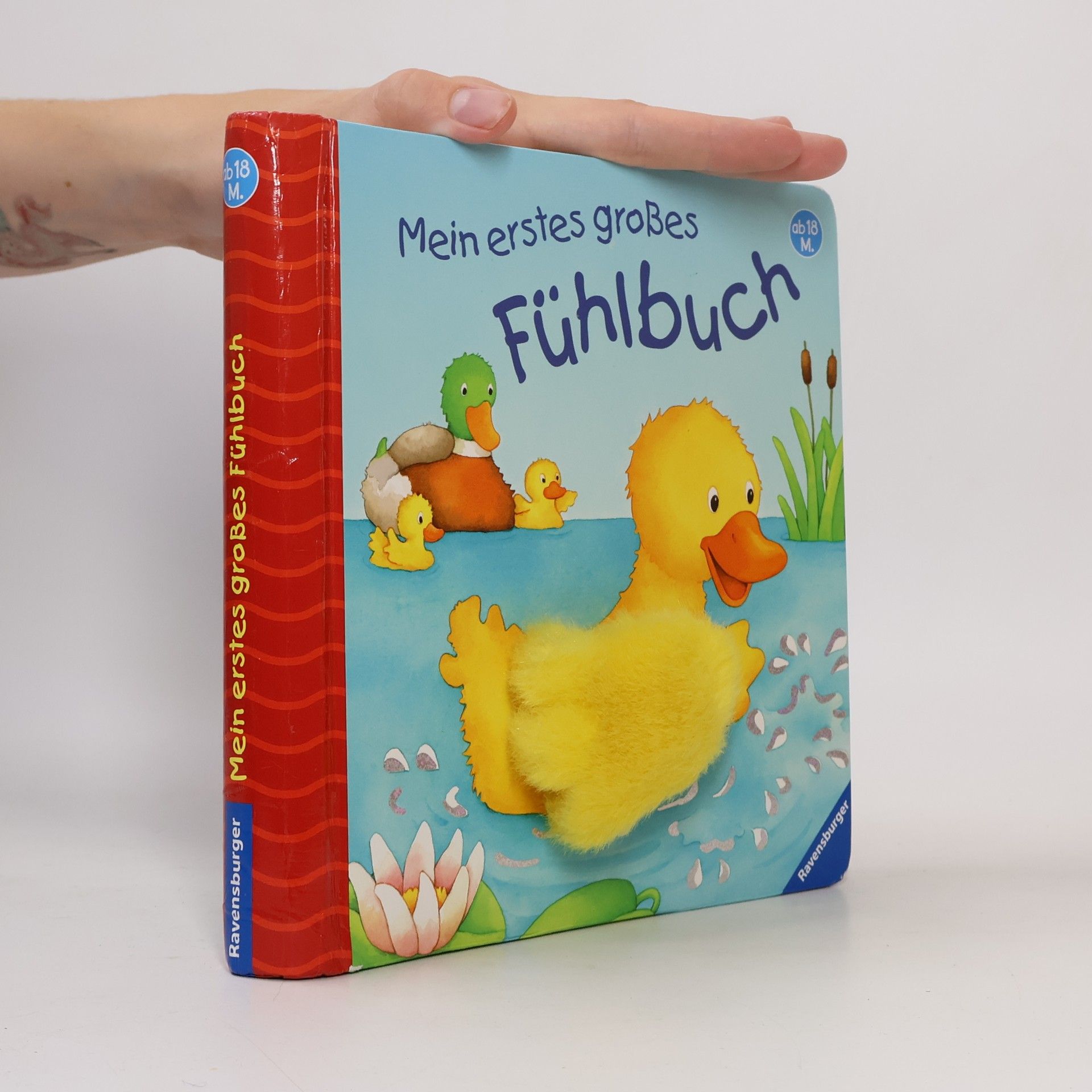Monika Neubacher Fesser Mein erstes großes Fühlbuch