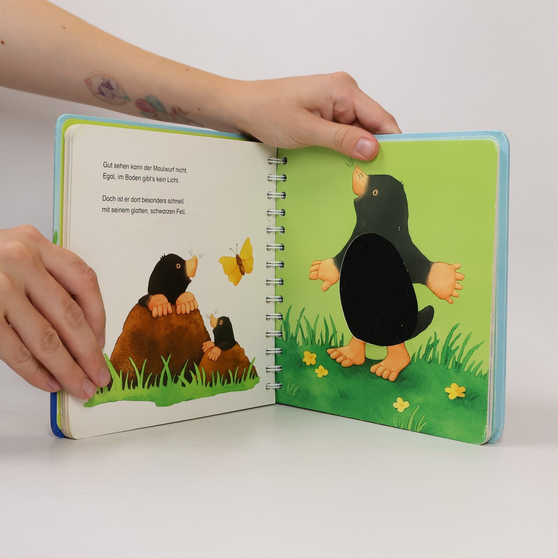 Monika Neubacher Fesser Mein erstes großes Fühlbuch