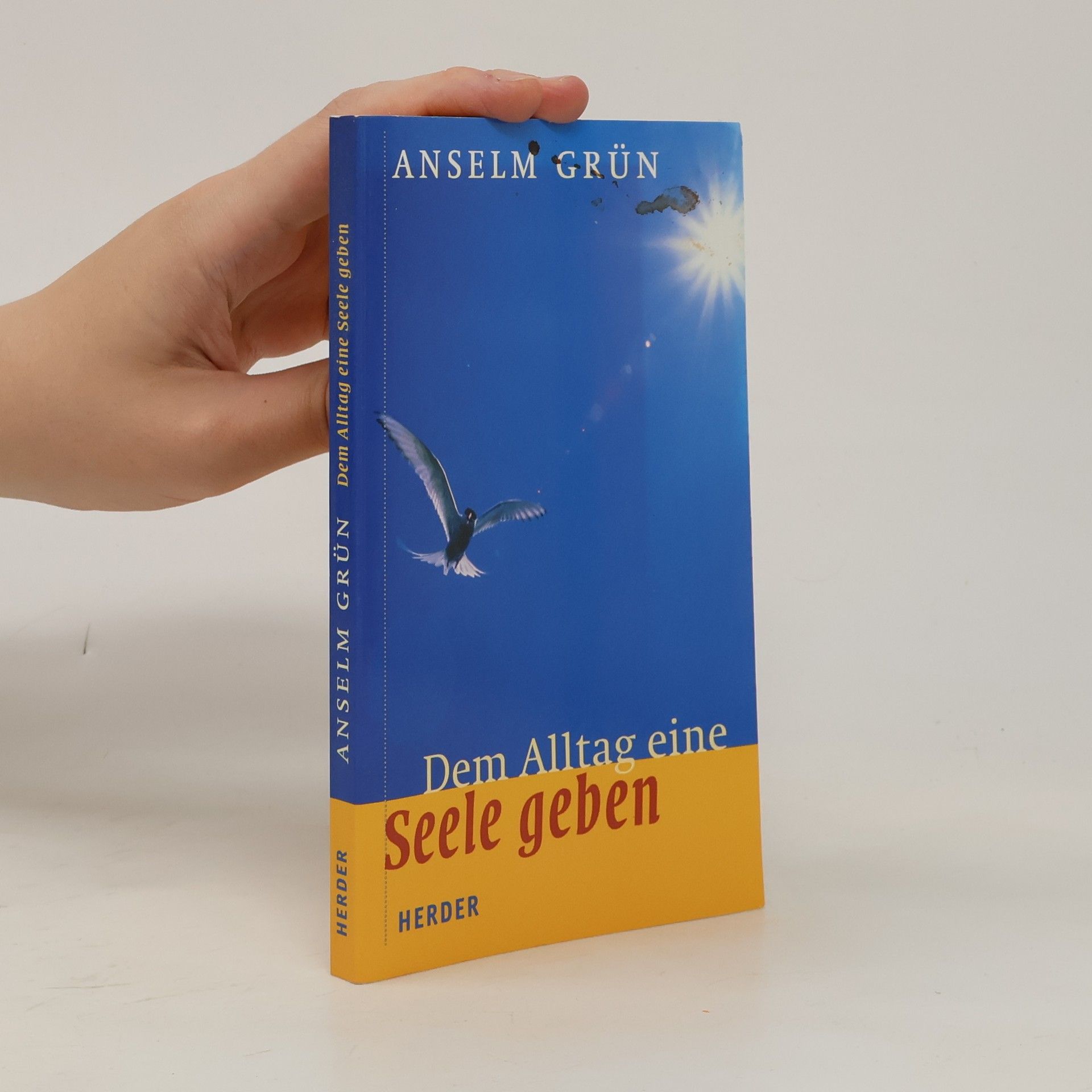 Anselm Grün Dem Alltag eine Seele geben