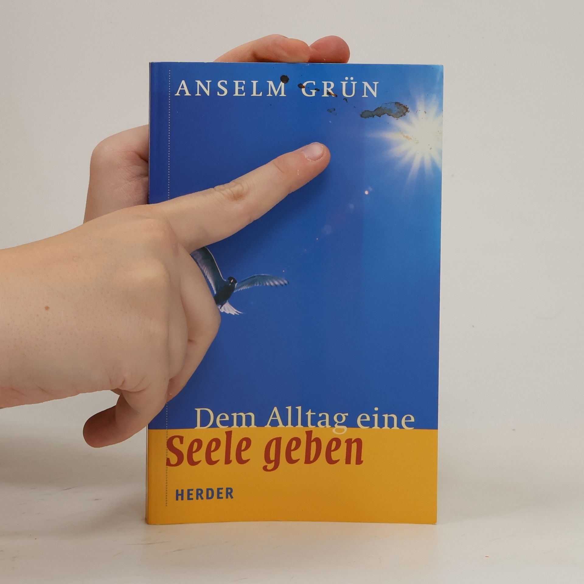 Anselm Grün Dem Alltag eine Seele geben