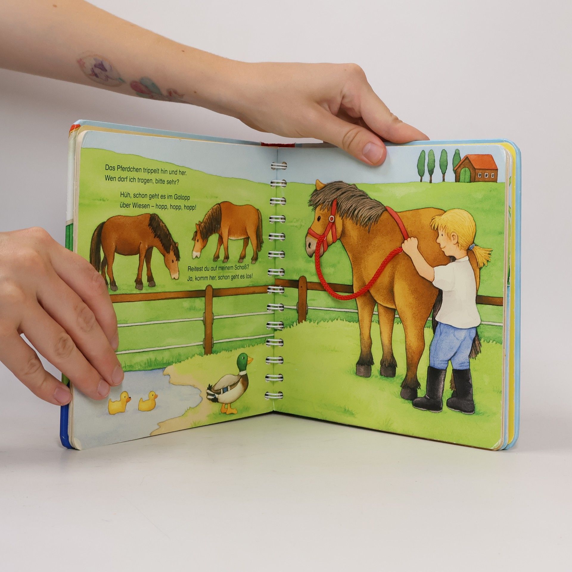 Monika Neubacher Fesser Mein erstes großes Tier-Fühlbuch