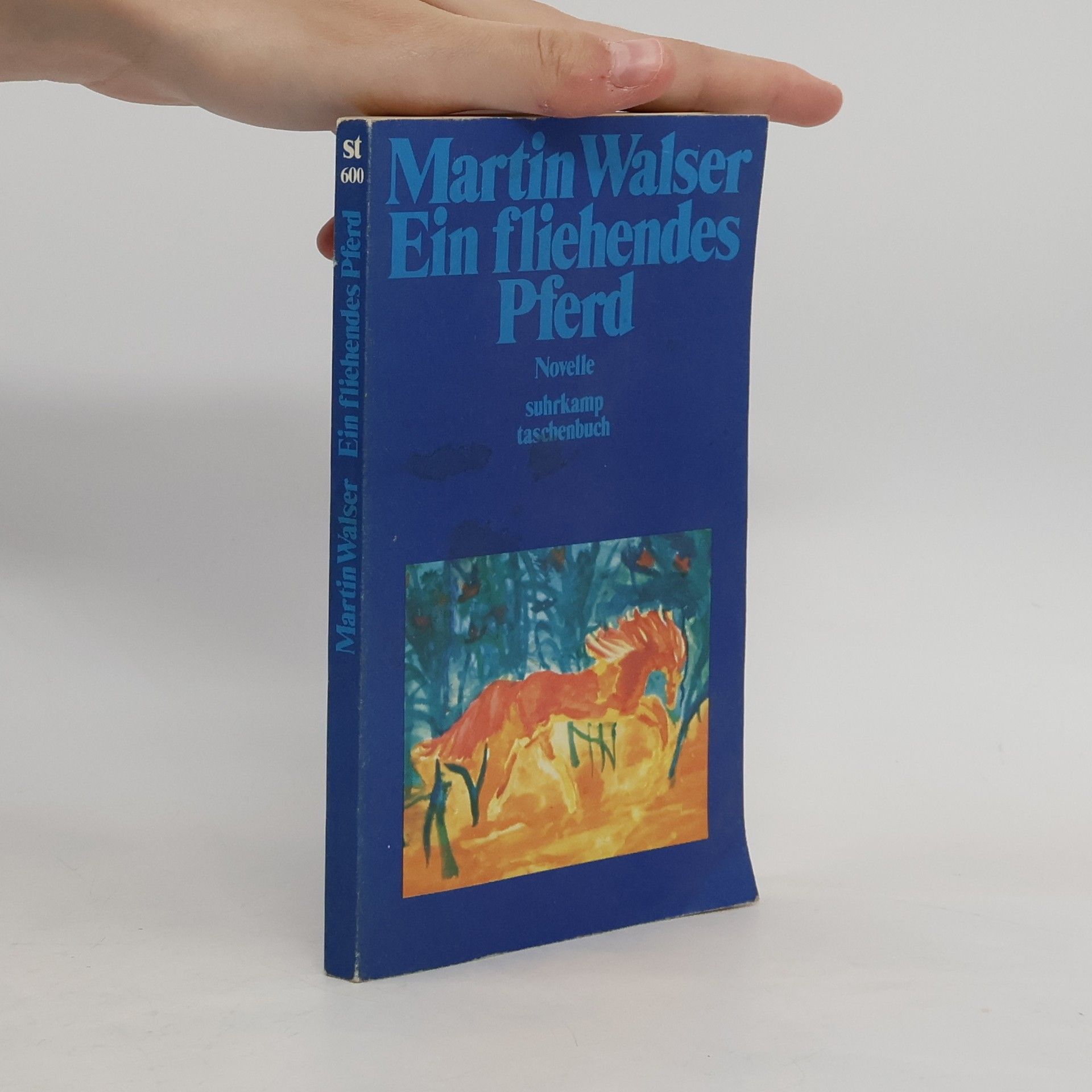 Martin Walser Ein fliehendes Pferd