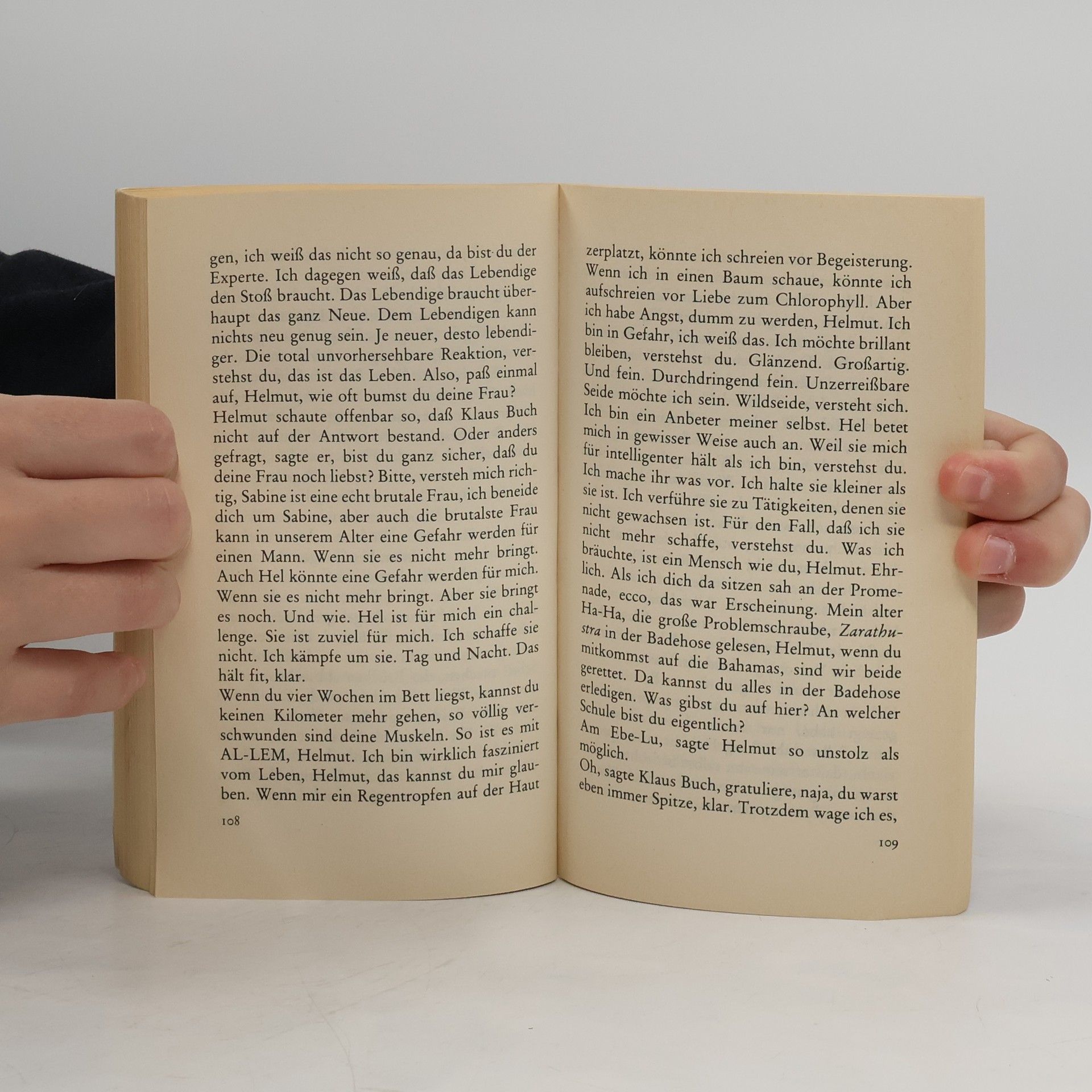 Martin Walser Ein fliehendes Pferd