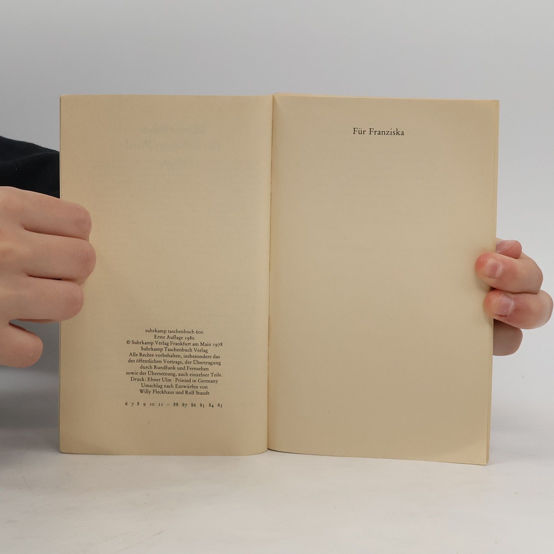Martin Walser Ein fliehendes Pferd
