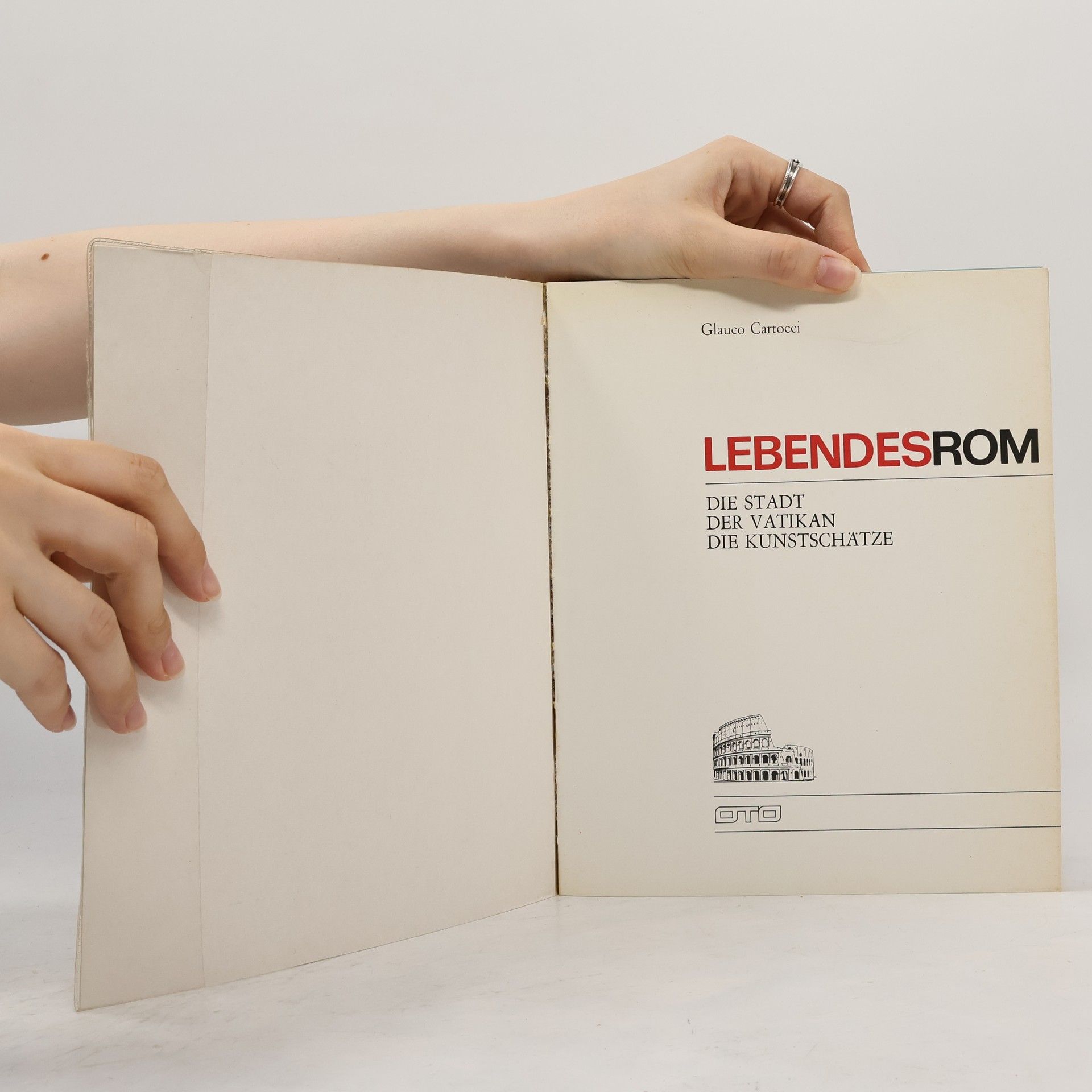 Glauco Cartocci Lebendes Rom: Die Stadt, Der Vatikan, Die Kunstschätze