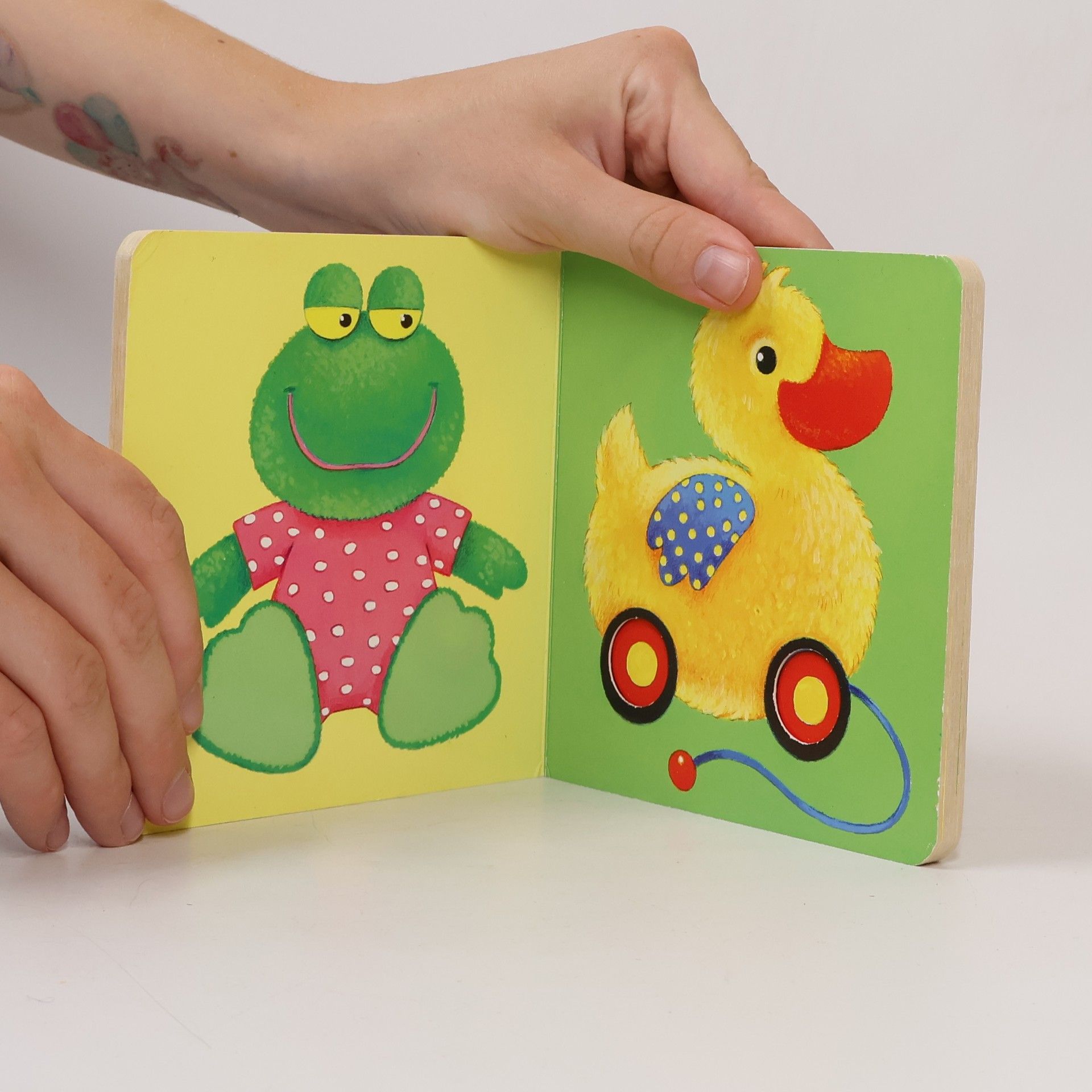 Eva Spanjardt Mein erstes Gucklochbuch Kuscheltiere