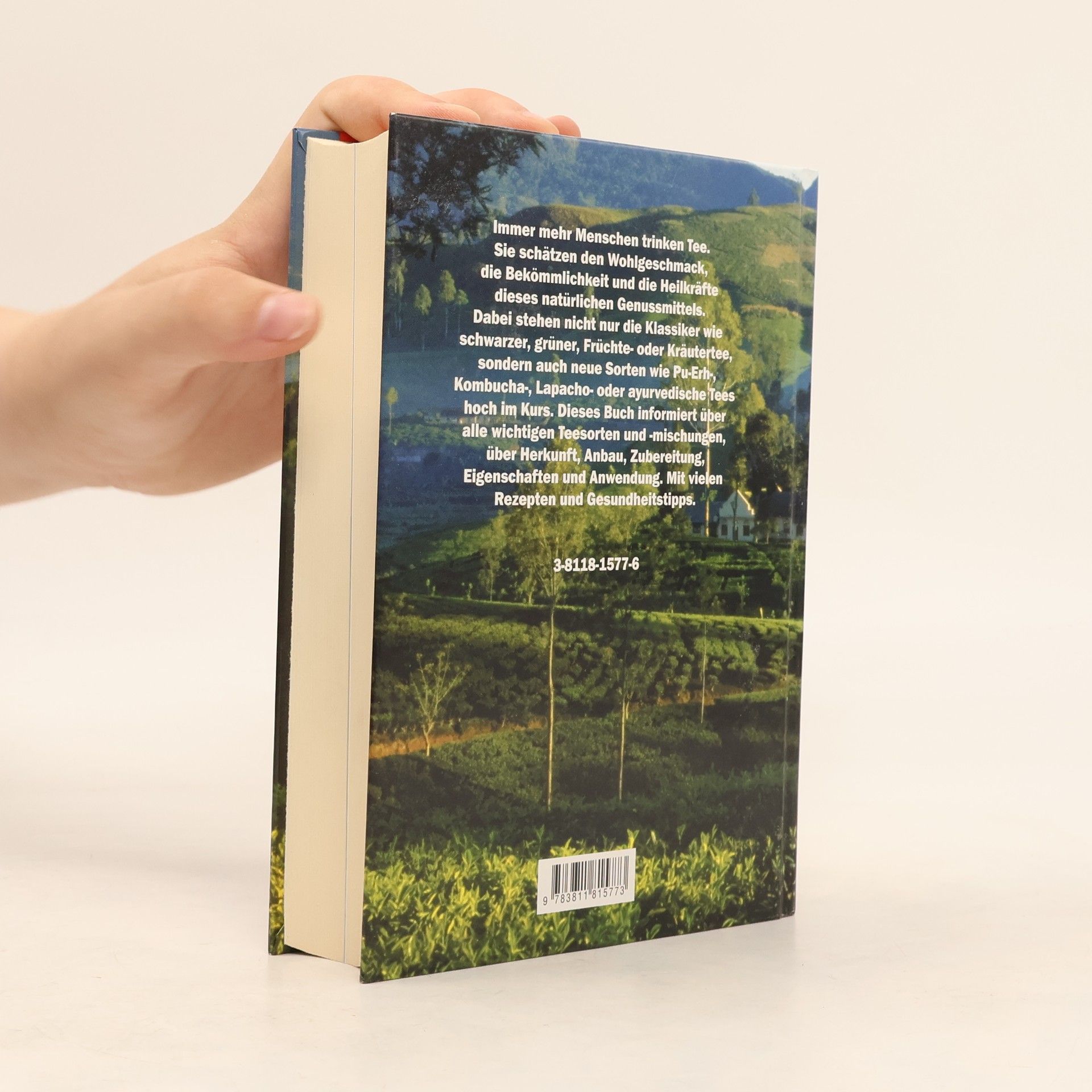 Pia Dahlem Das große Buch vom Tee