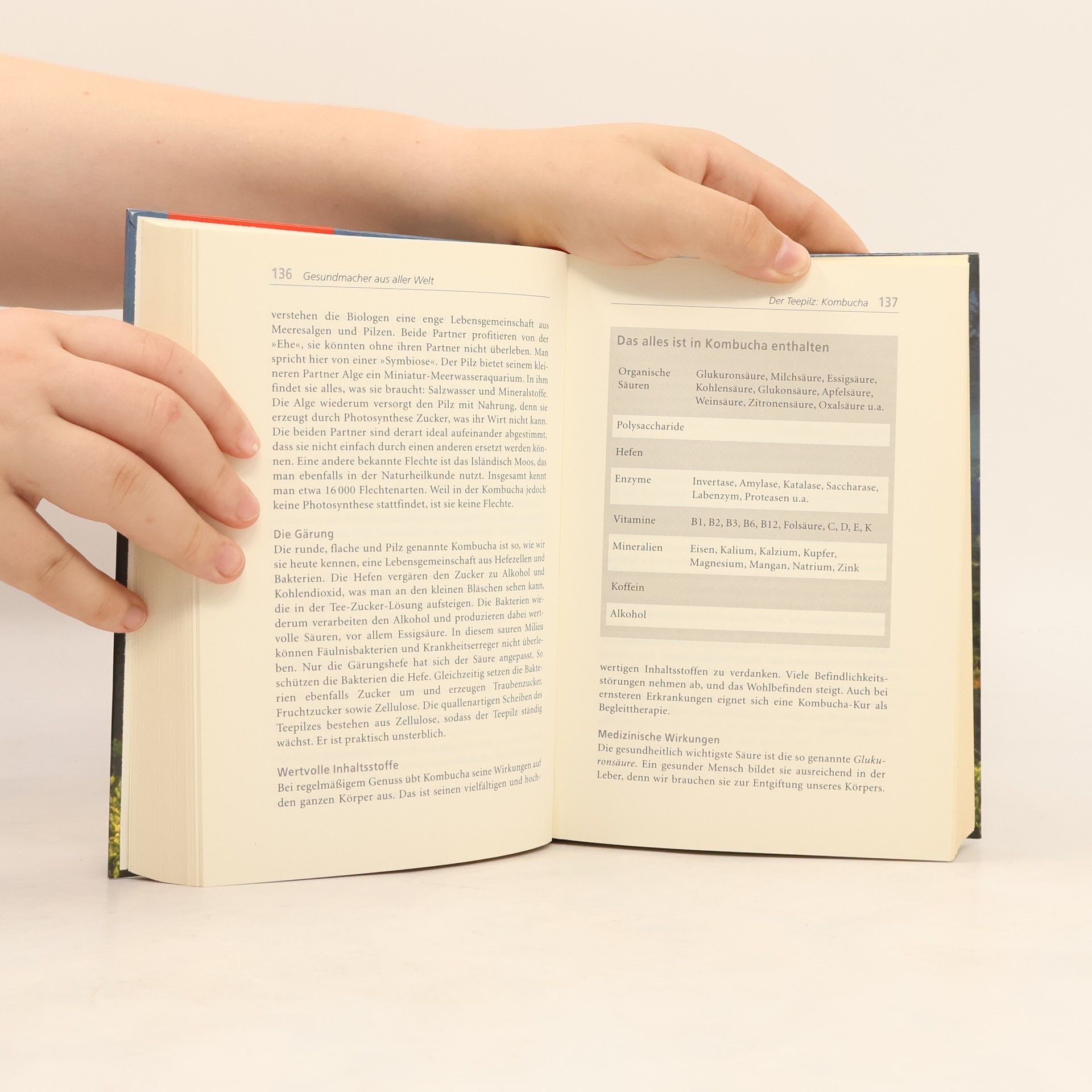 Pia Dahlem Das große Buch vom Tee