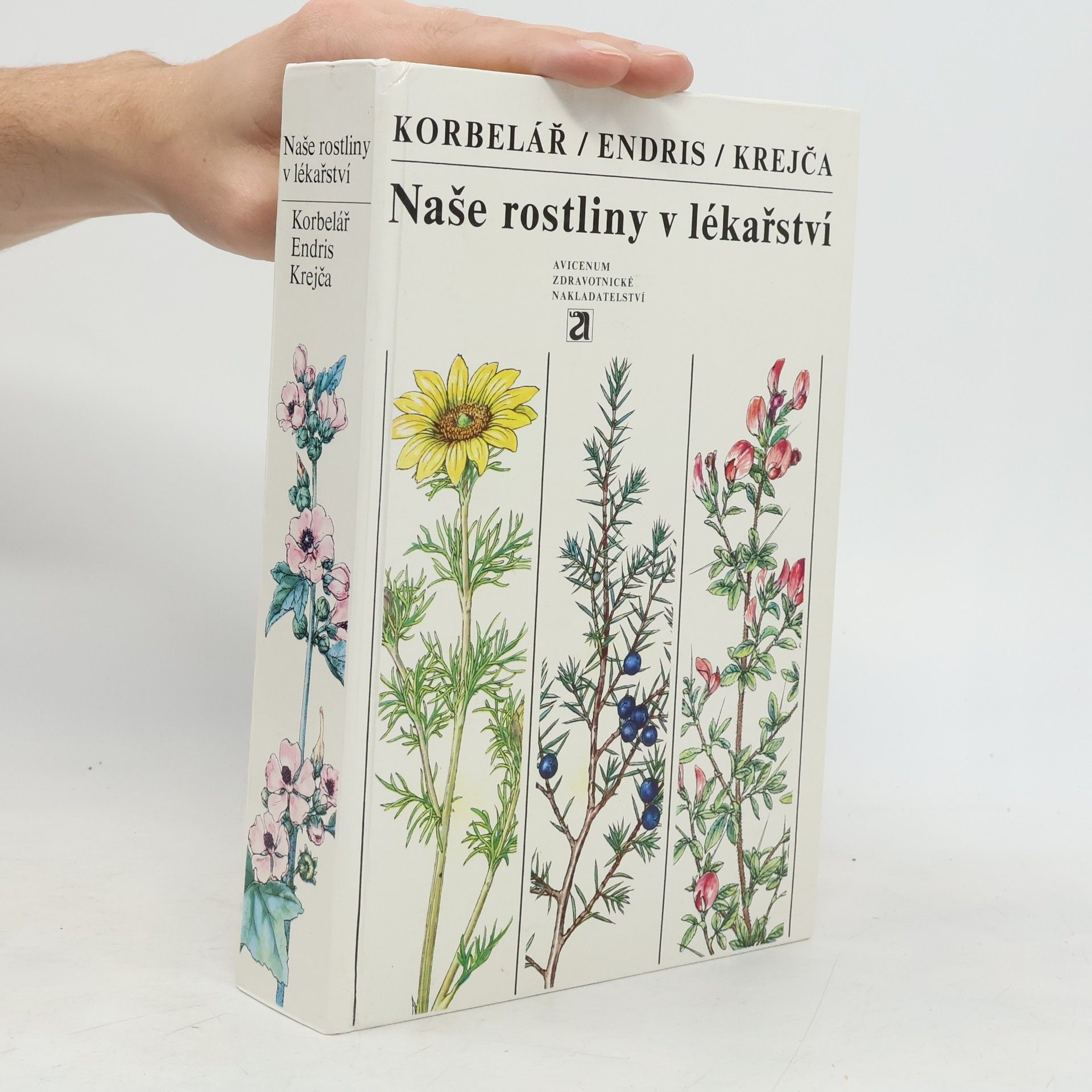 Jaroslav Korbelář Naše rostliny v lékařství