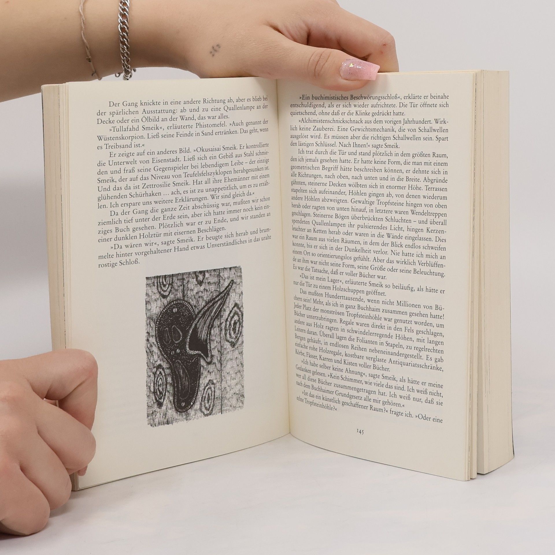 Walter Moers Die Stadt der Träumenden Bücher