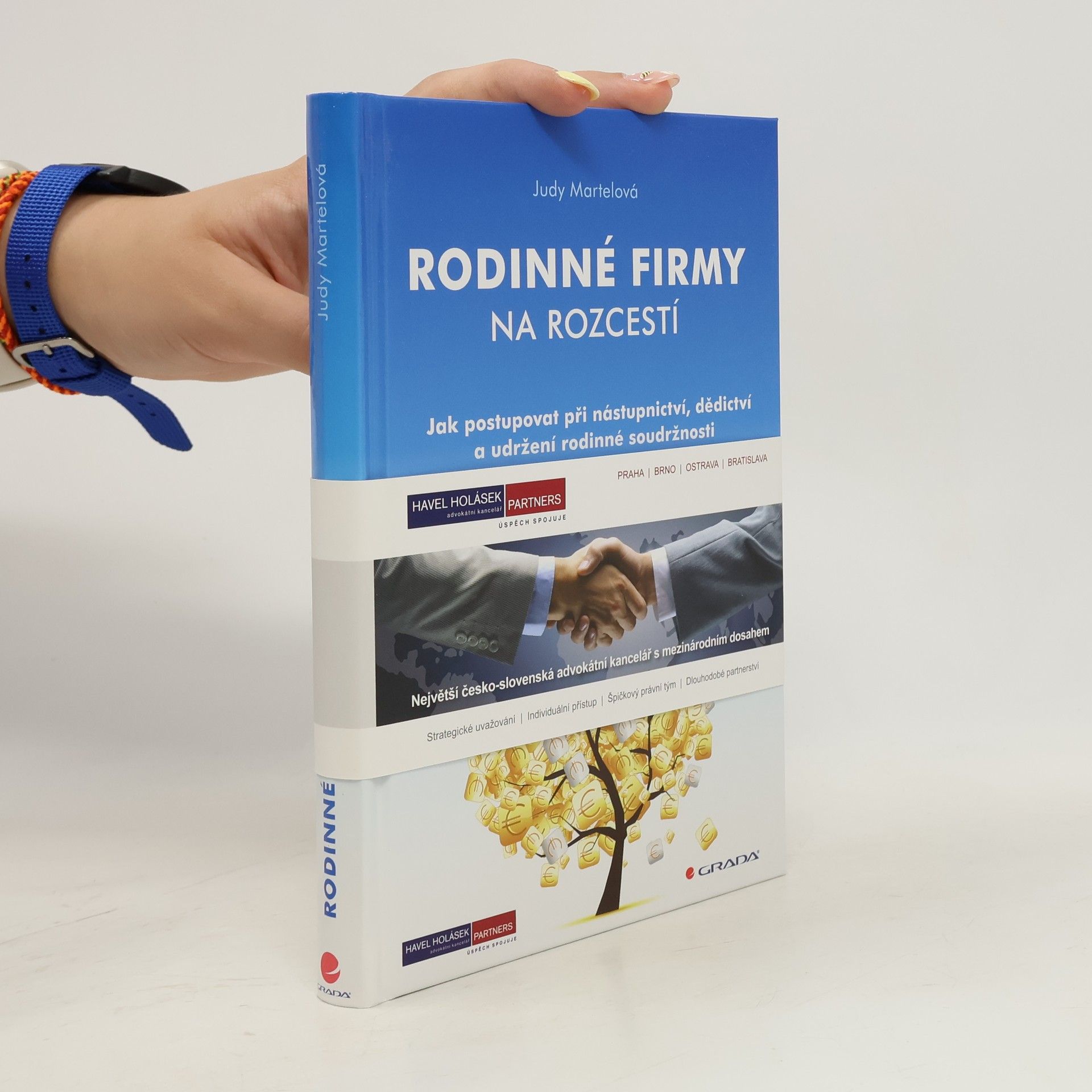 Judy Martel Rodinné firmy na rozcestí