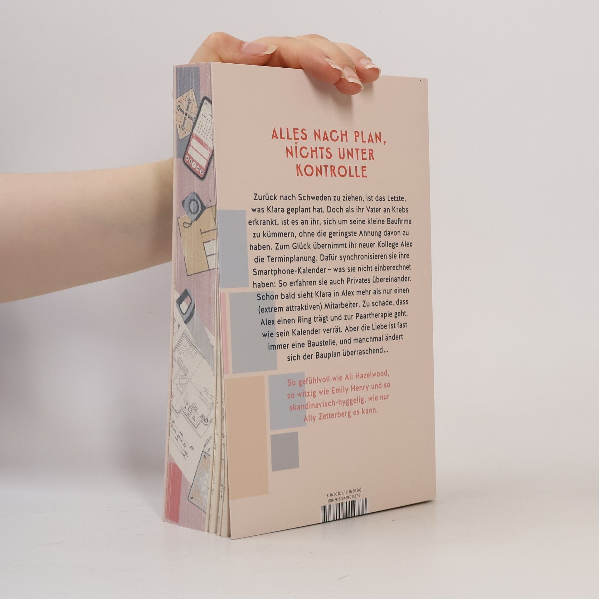 Ally Zetterberg The Happiness Blueprint