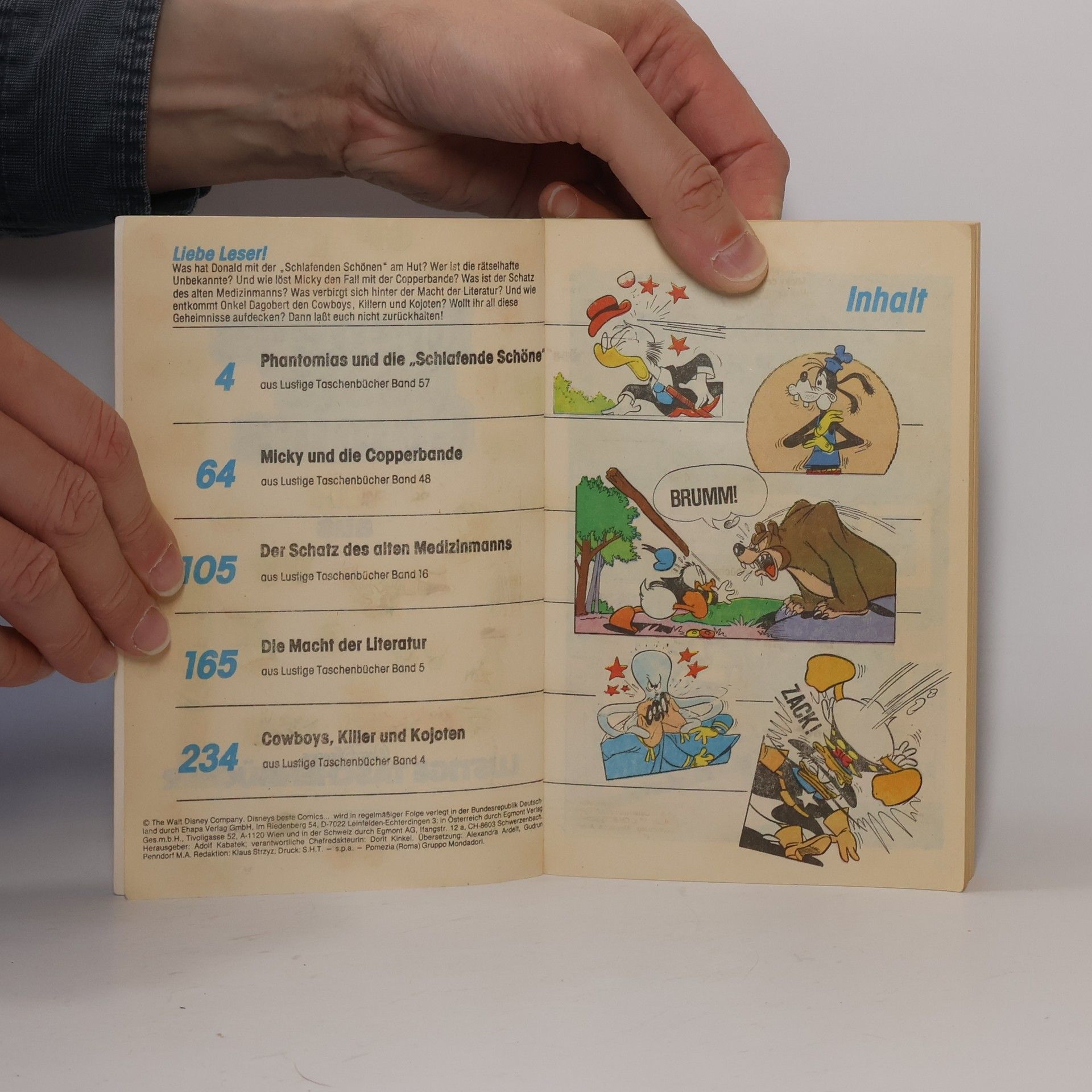 Kolektiv autorů Disneys beste Comics. Band 11