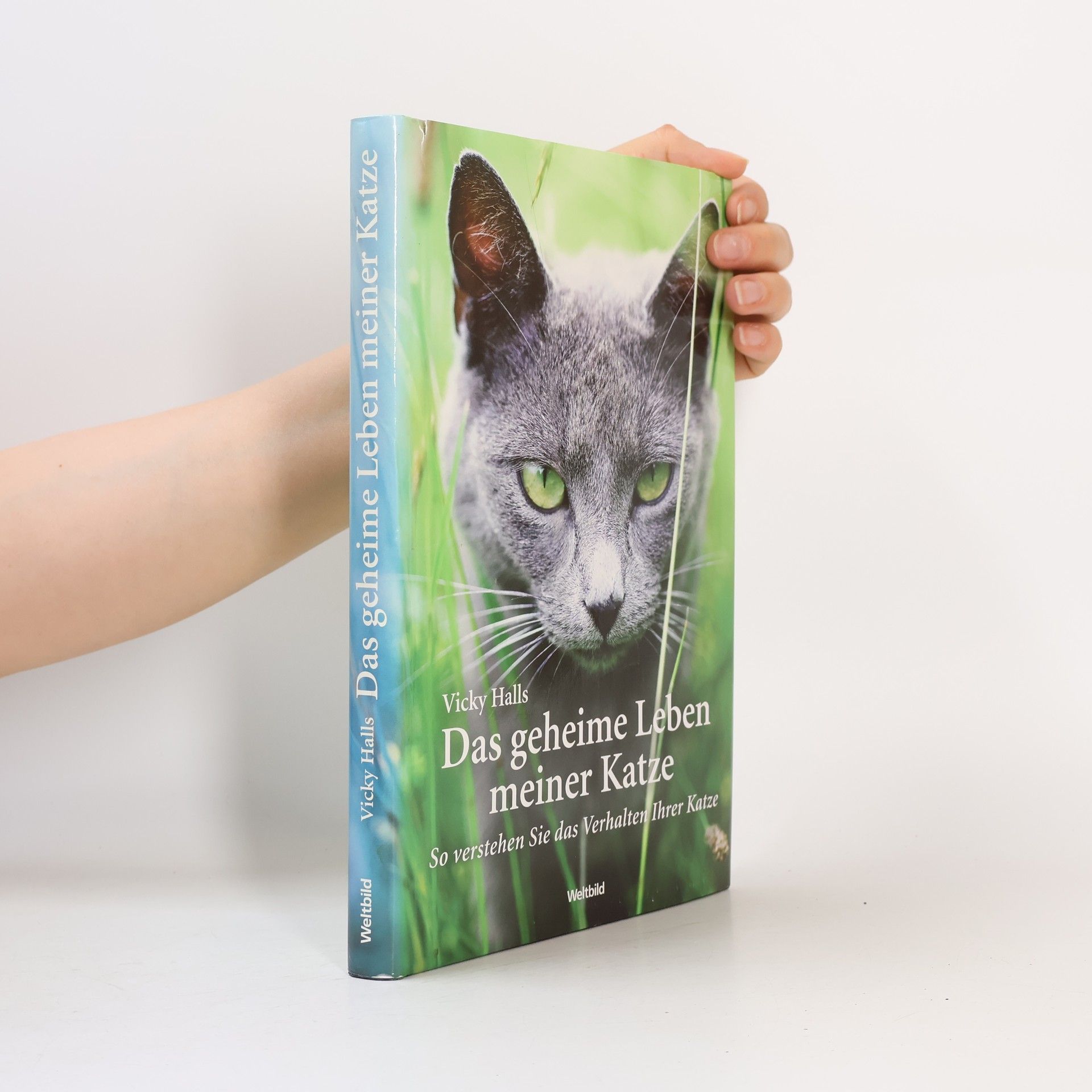 Das geheime Leben meiner Katze So verstehen Sie das Verhalten Ihrer Katze