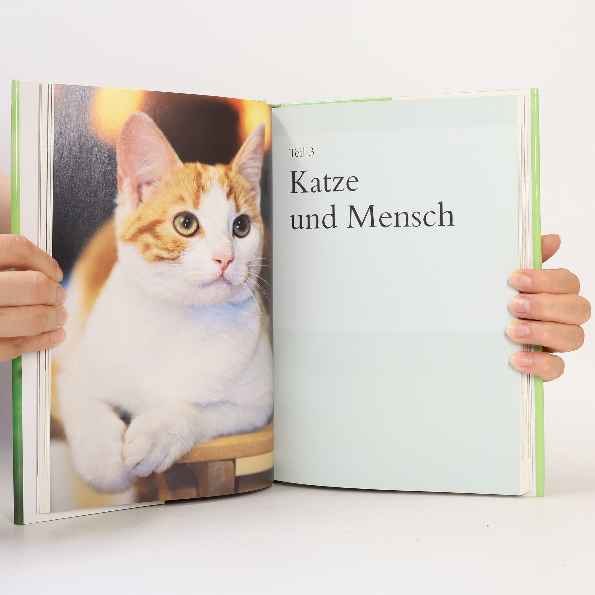 Vicky Halls Das geheime Leben meiner Katze So verstehen Sie das Verhalten Ihrer Katze