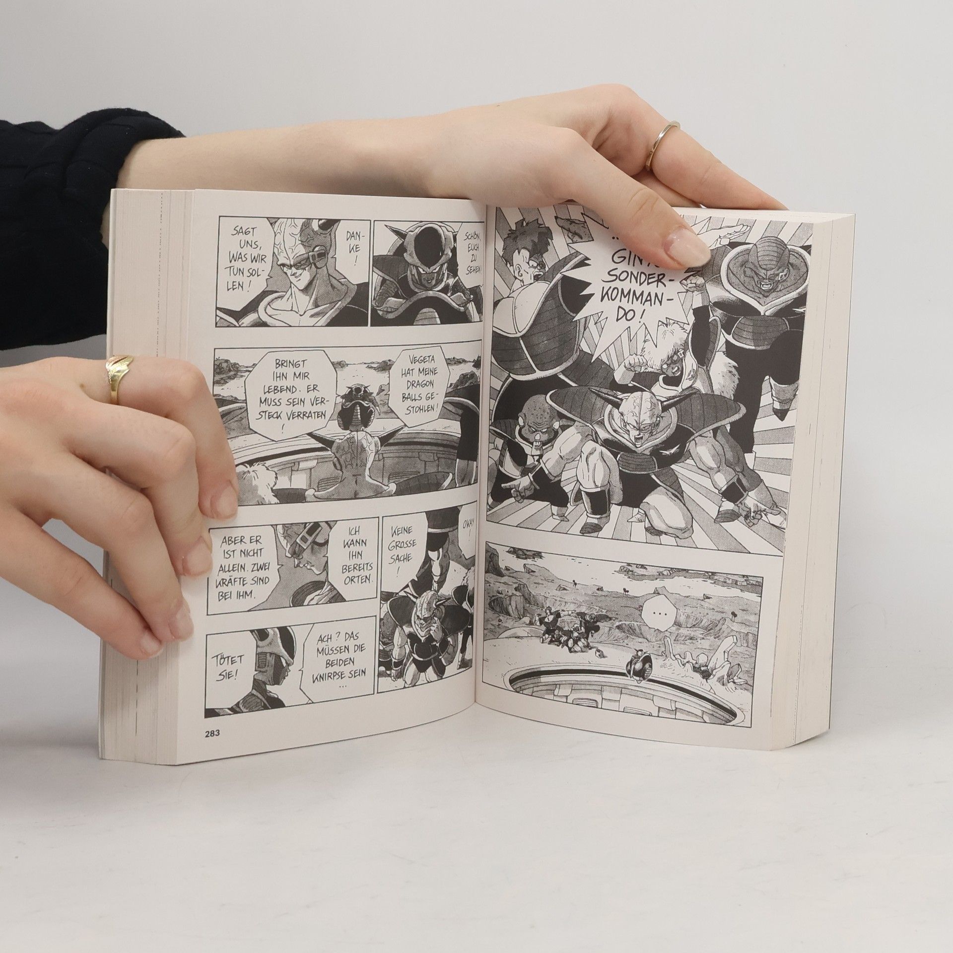 Akira Torijama Dragon Ball Massiv Bd.8