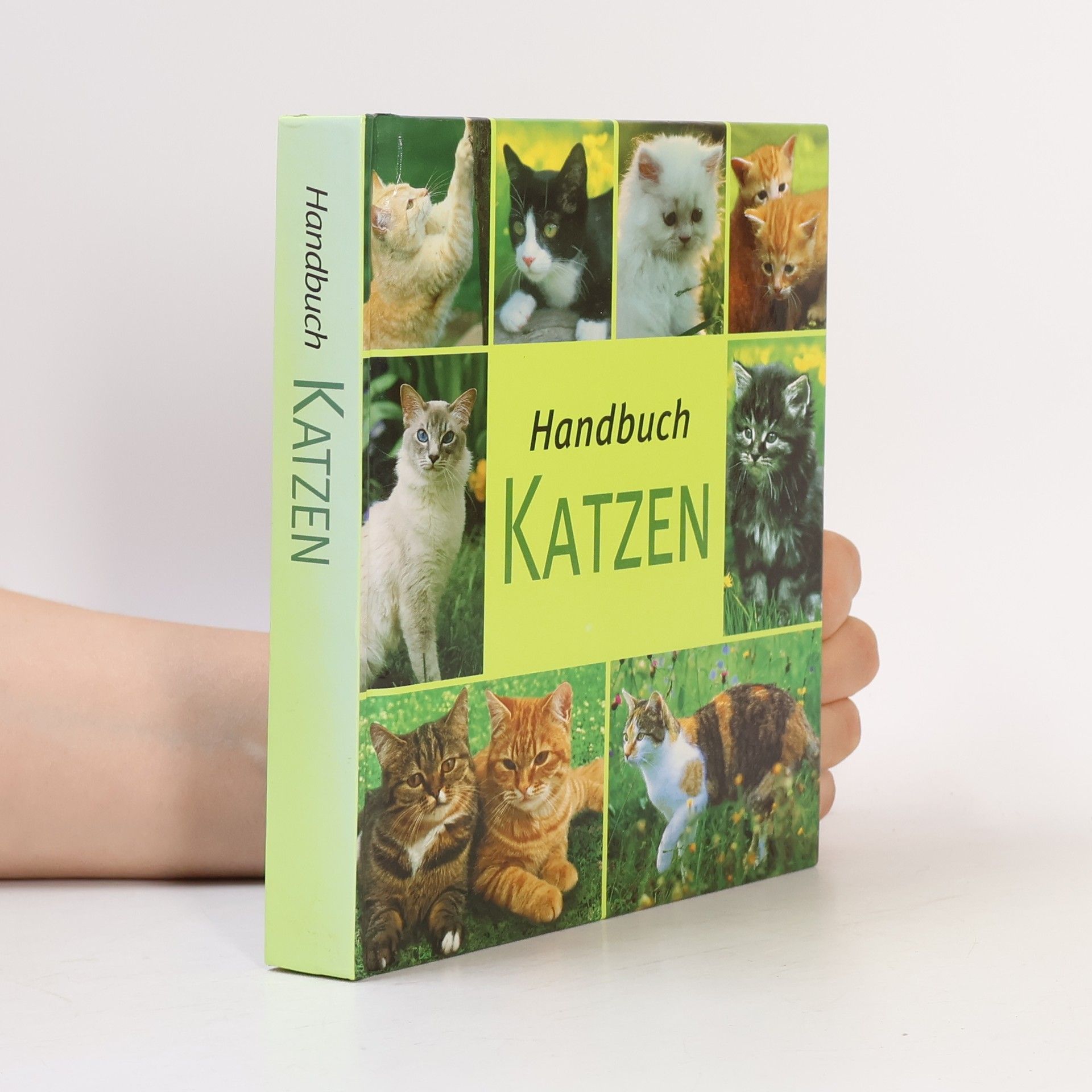 Autorenkollektiv Handbuch Katzen