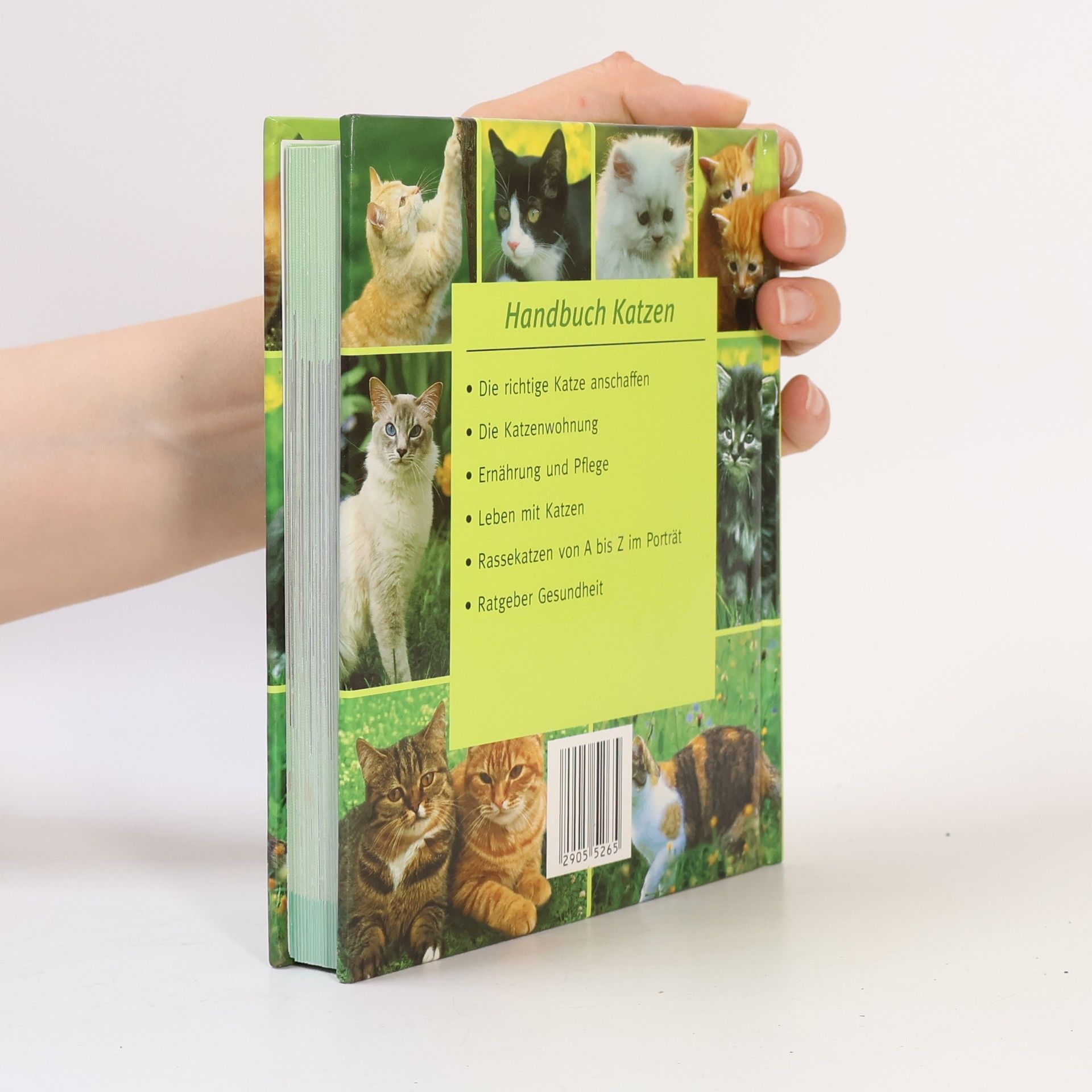 Handbuch Katzen