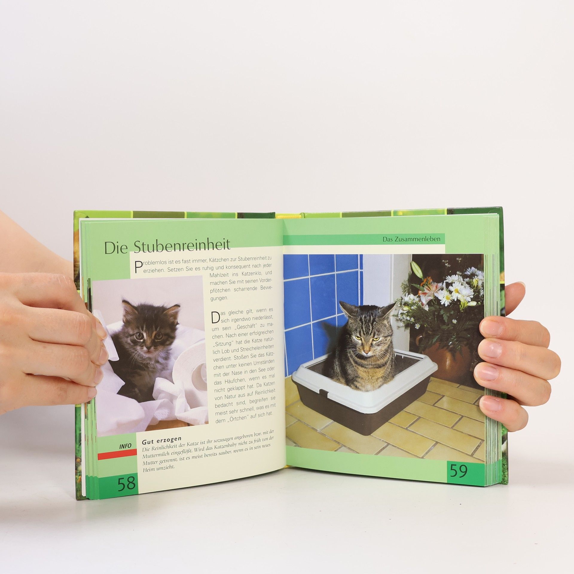Handbuch Katzen