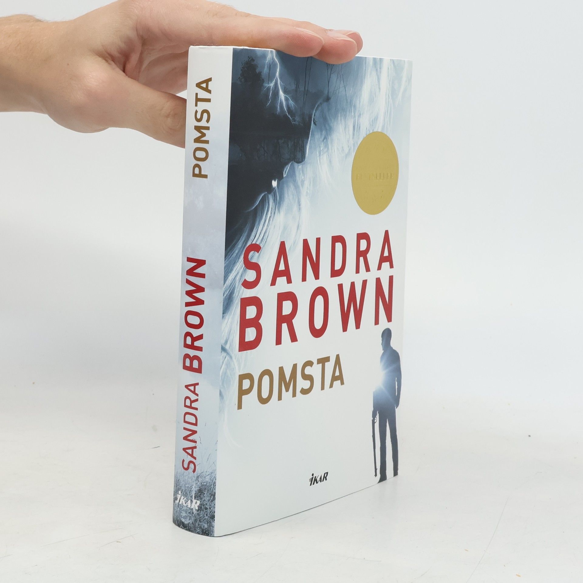 Sandra Brown Pomsta