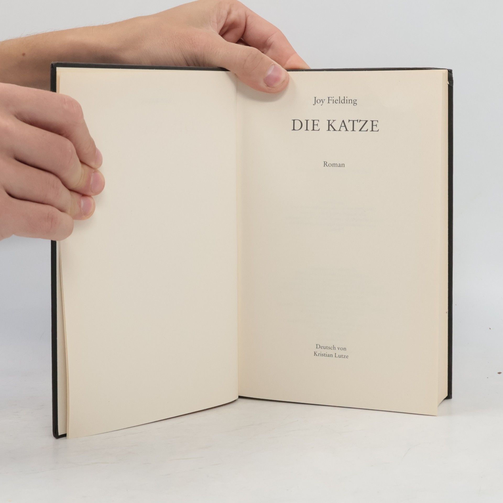 Joy Fielding Die Katze