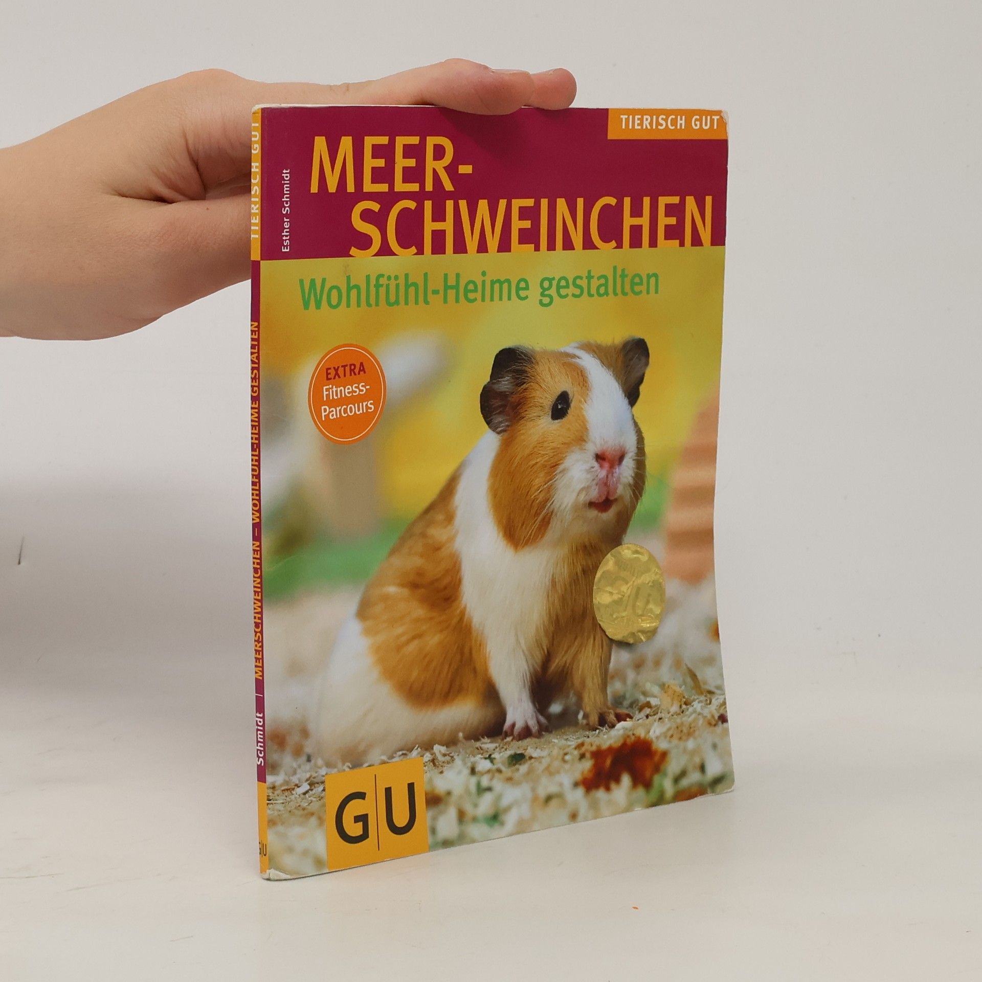 Esther Schmidt Meerschweinchen-Wohlfühl-Heime gestalten