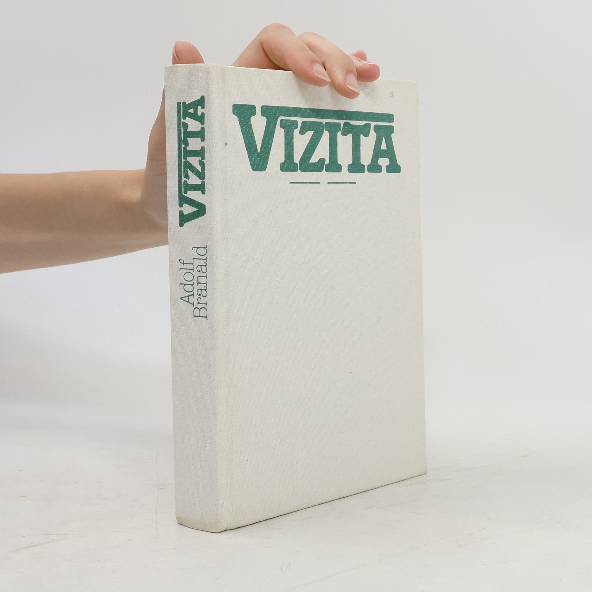 Vizita