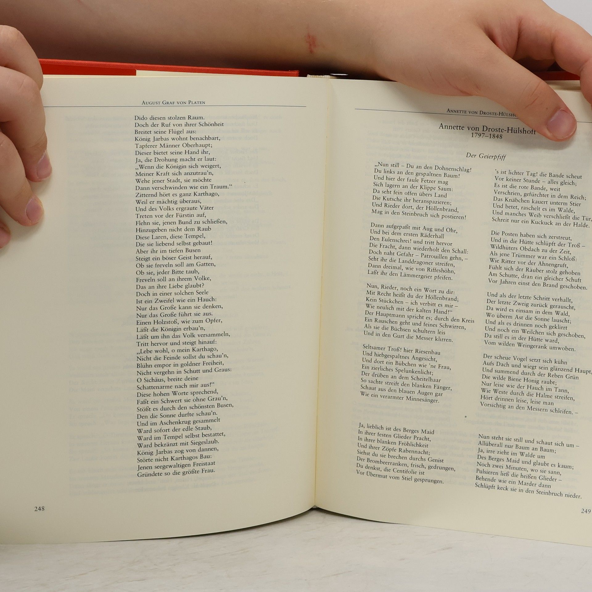 Beate Pinkerneil Das Grosse deutsche Balladenbuch