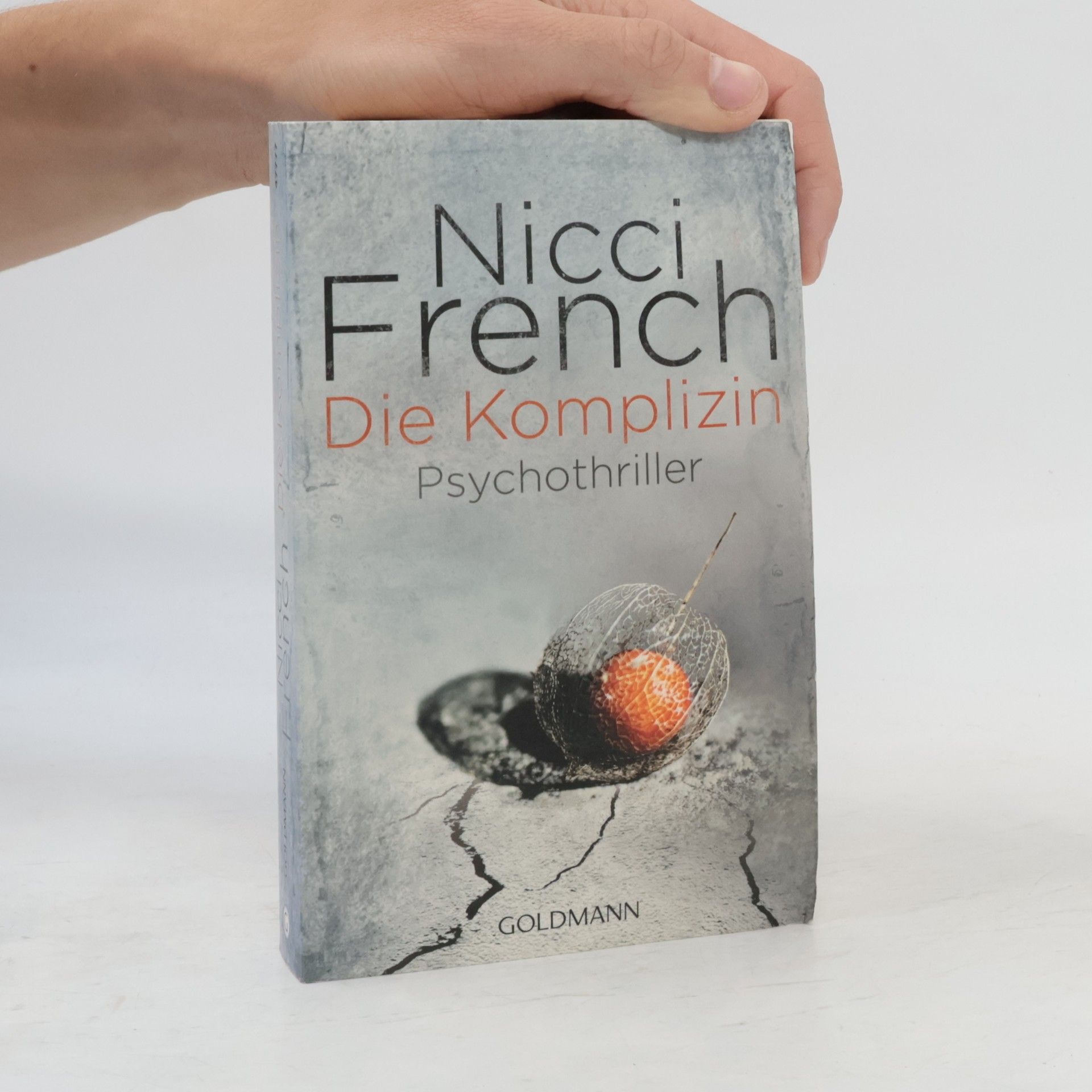Nicci French Die Komplizin