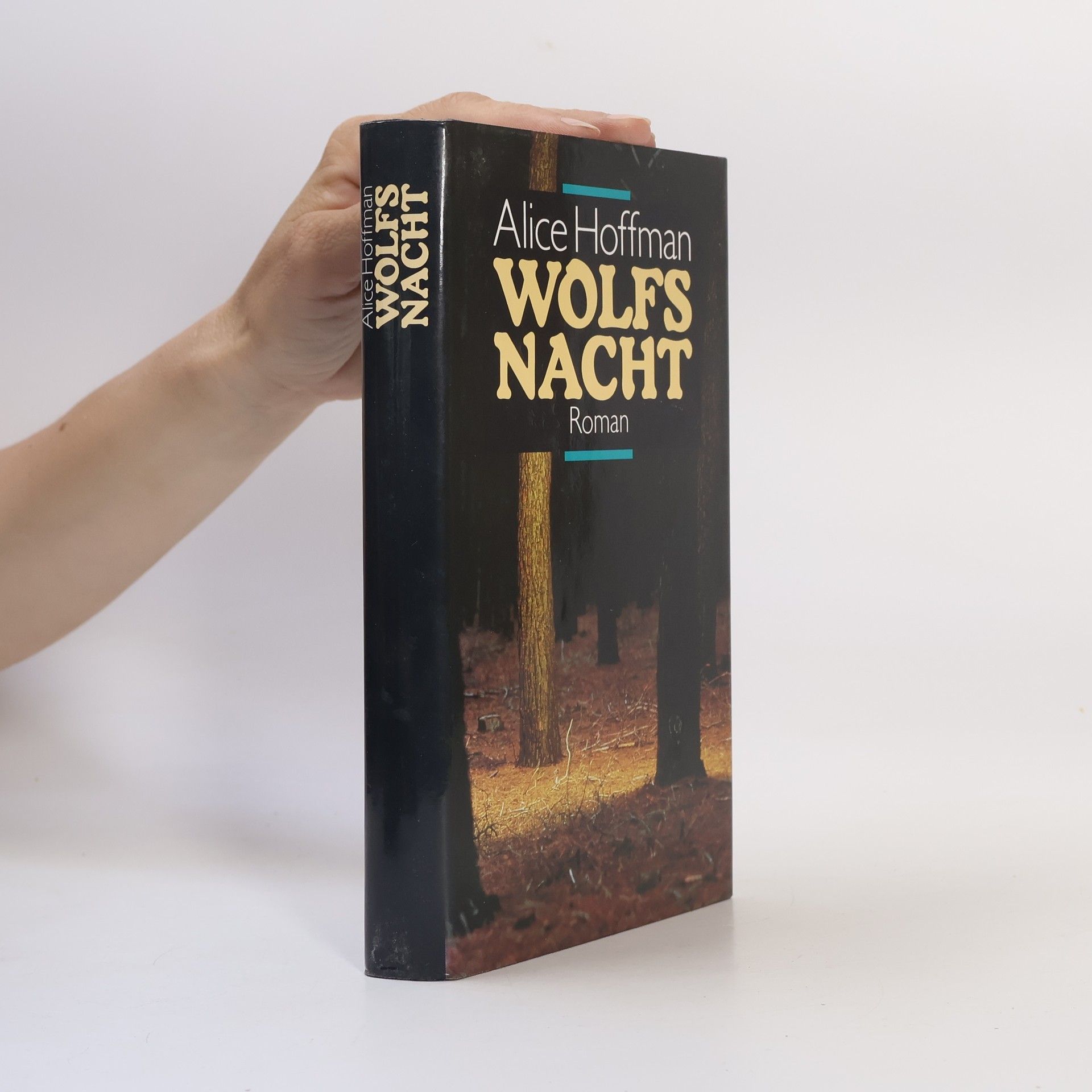 Alice Hoffman Wolfs Nacht