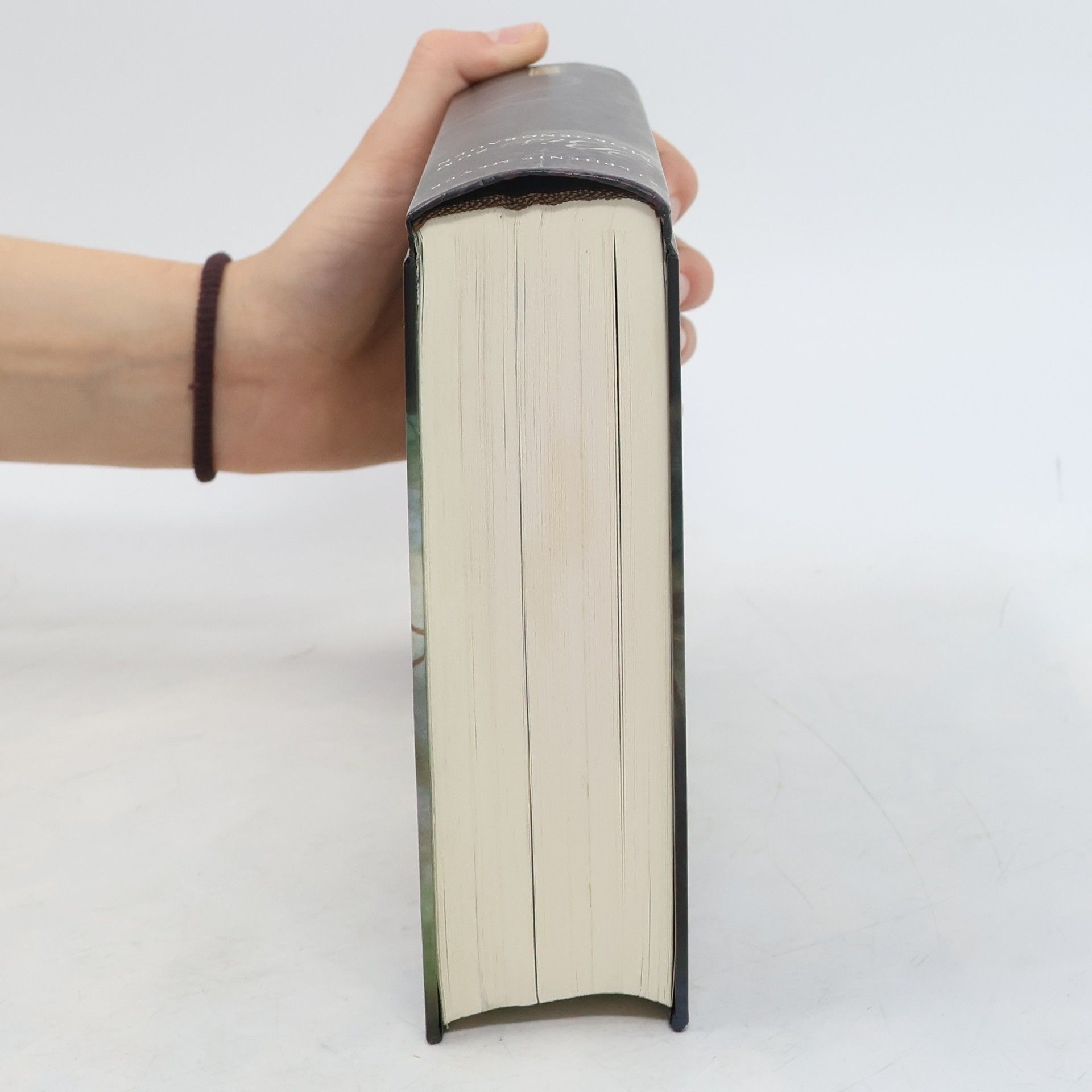 Stephenie Meyer Bella und Edward: Biss 1-4 im Schuber