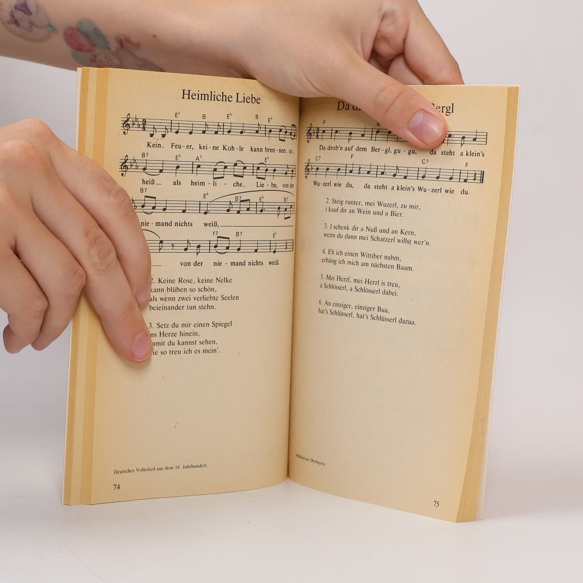 AA.VV. Die schönsten Lieder am Lagerfeuer