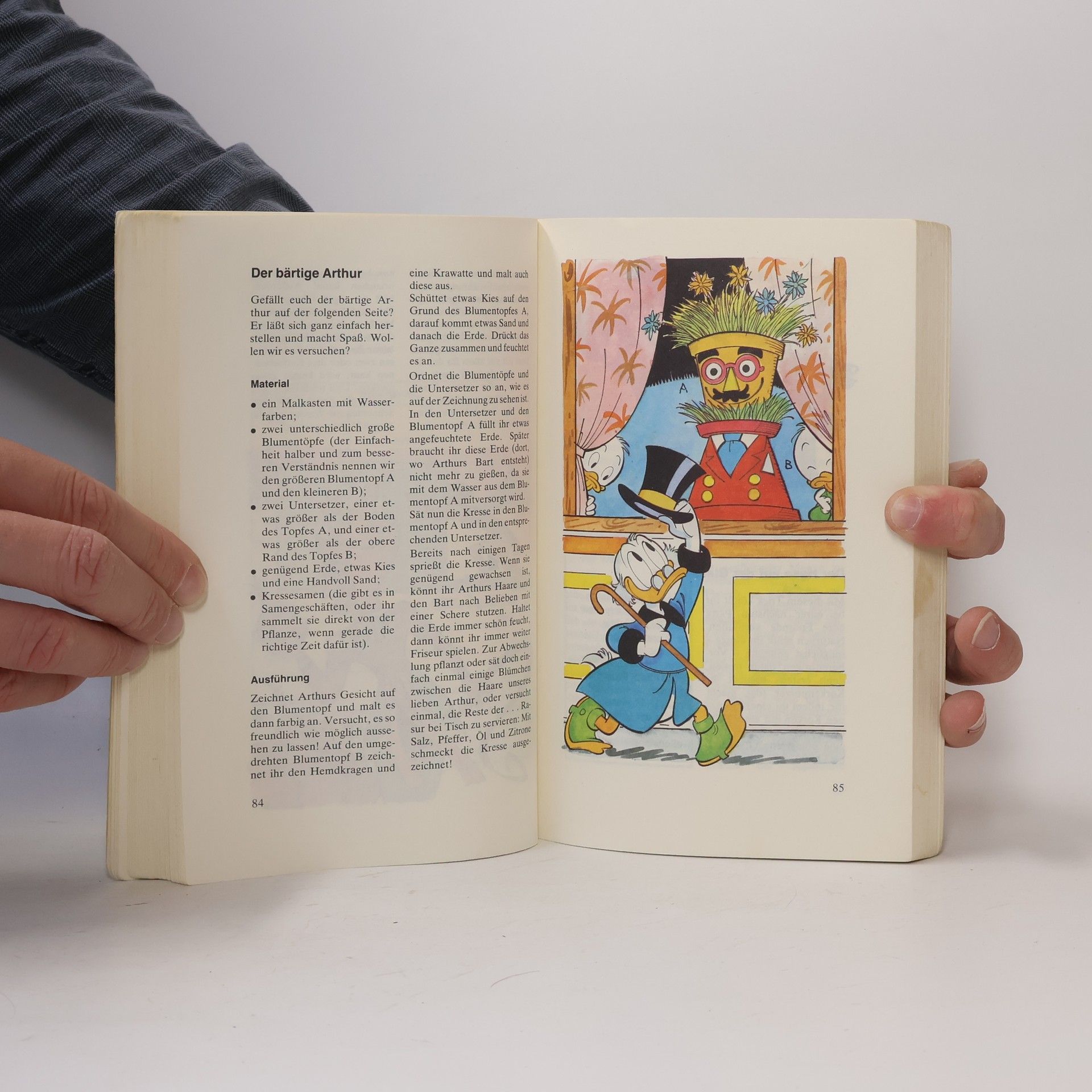 Micky Maus Superbuch