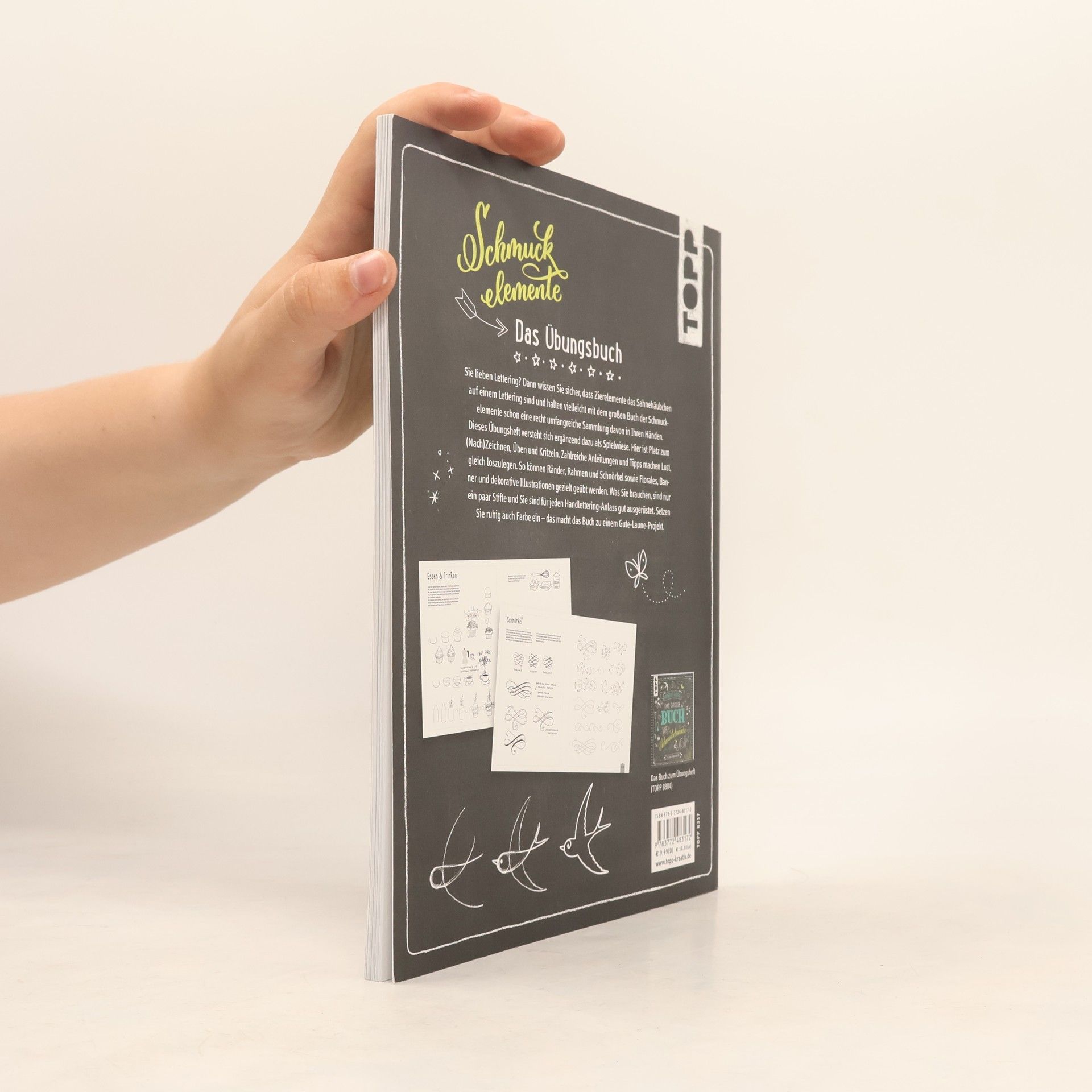 Frau Annika Handlettering. Übungsbuch der Schmuckelemente