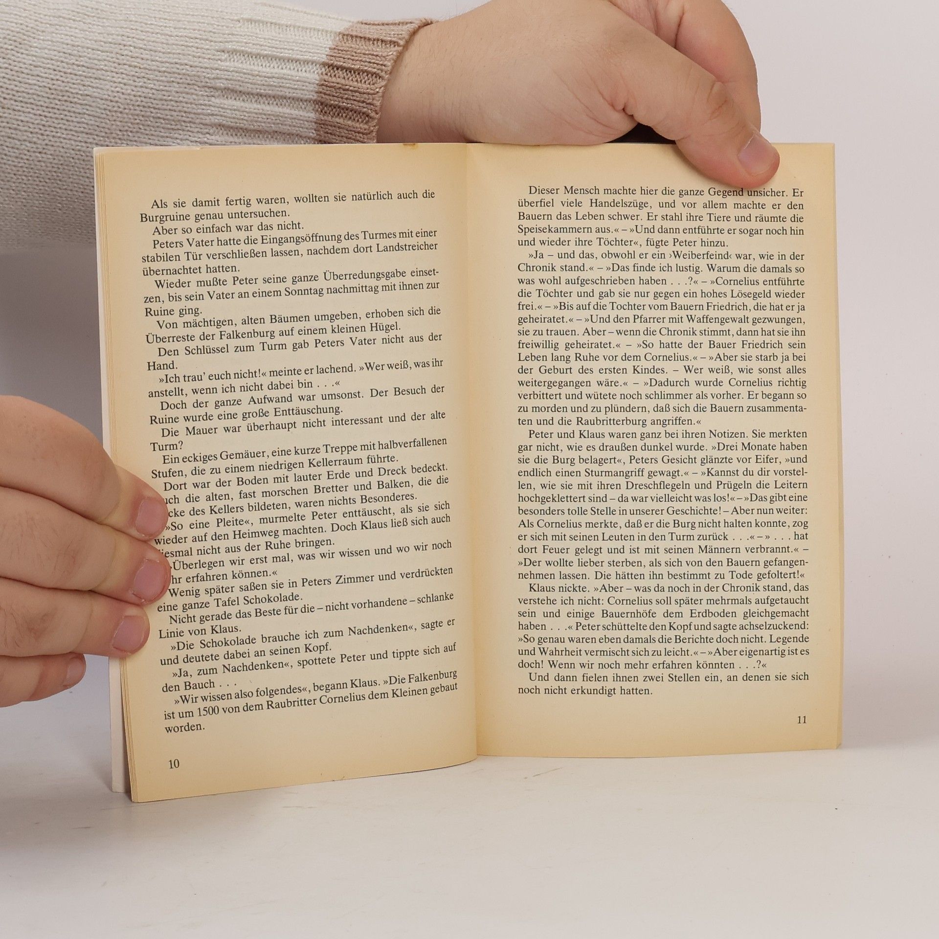 Andreas Schwantge Das Geheimnis der Falkenburg