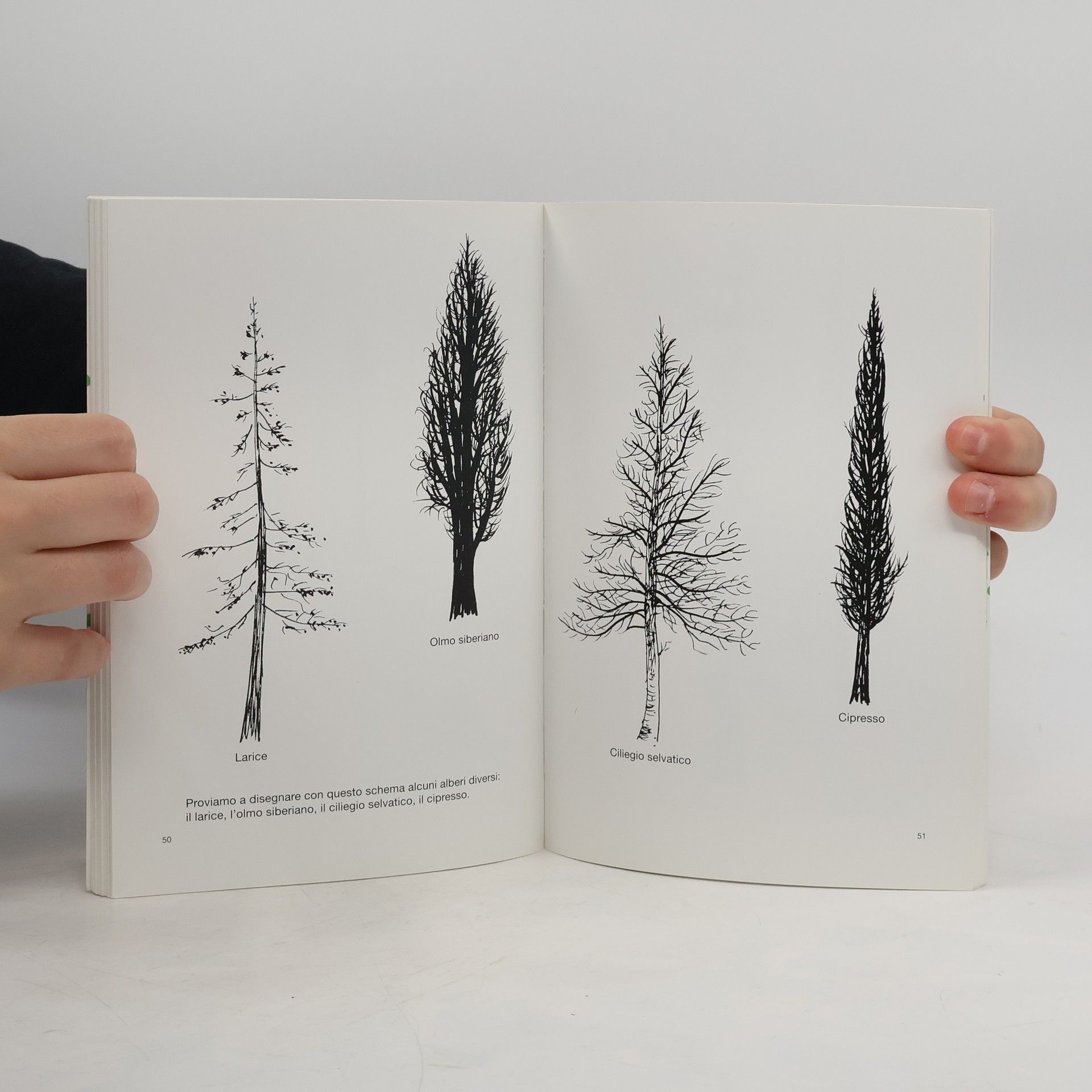 Bruno Munari Disegnare un albero