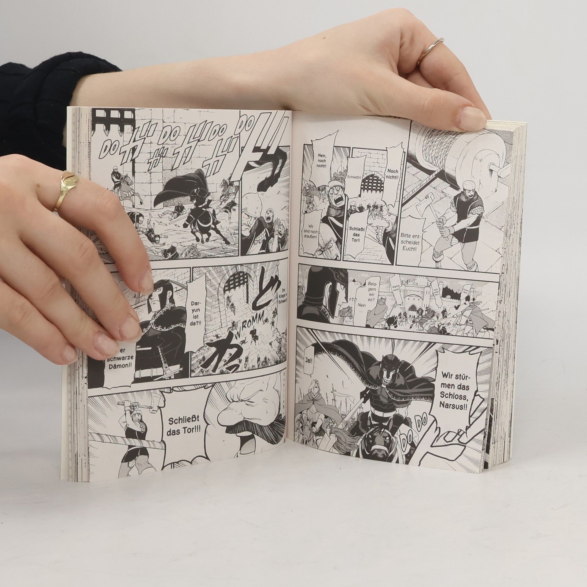 Hiromi Arakawa The Heroic Legend of Arslan 11