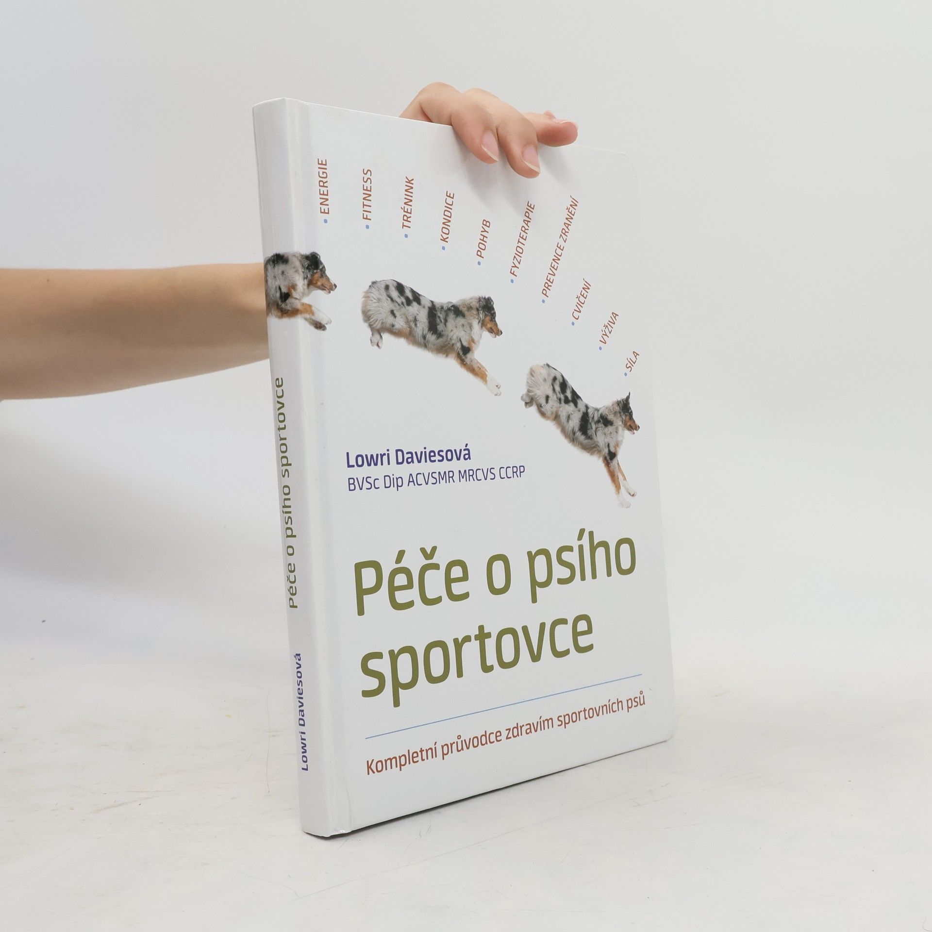 Lowri Davies Péče o psího sportovce