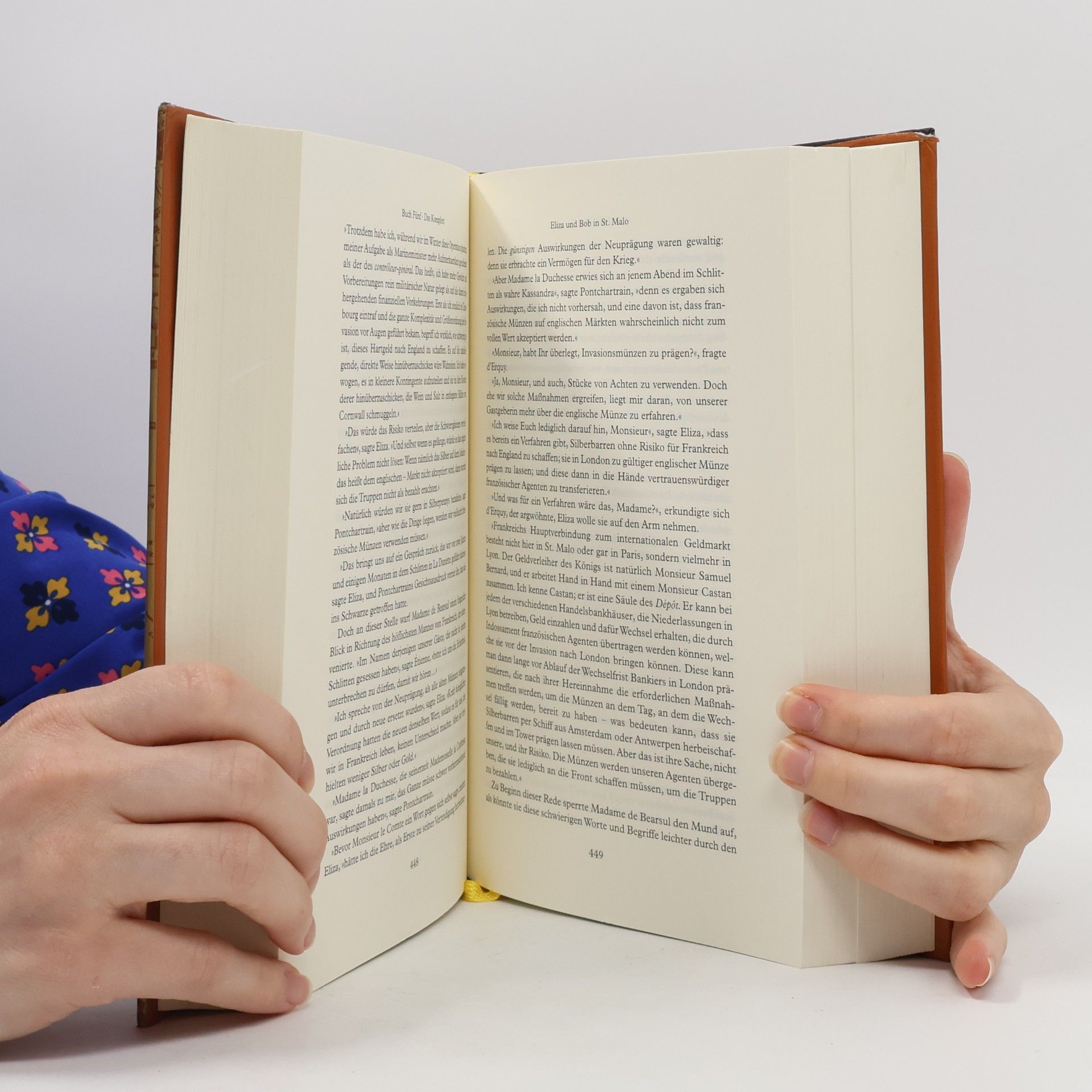 Neal Stephenson Confusion