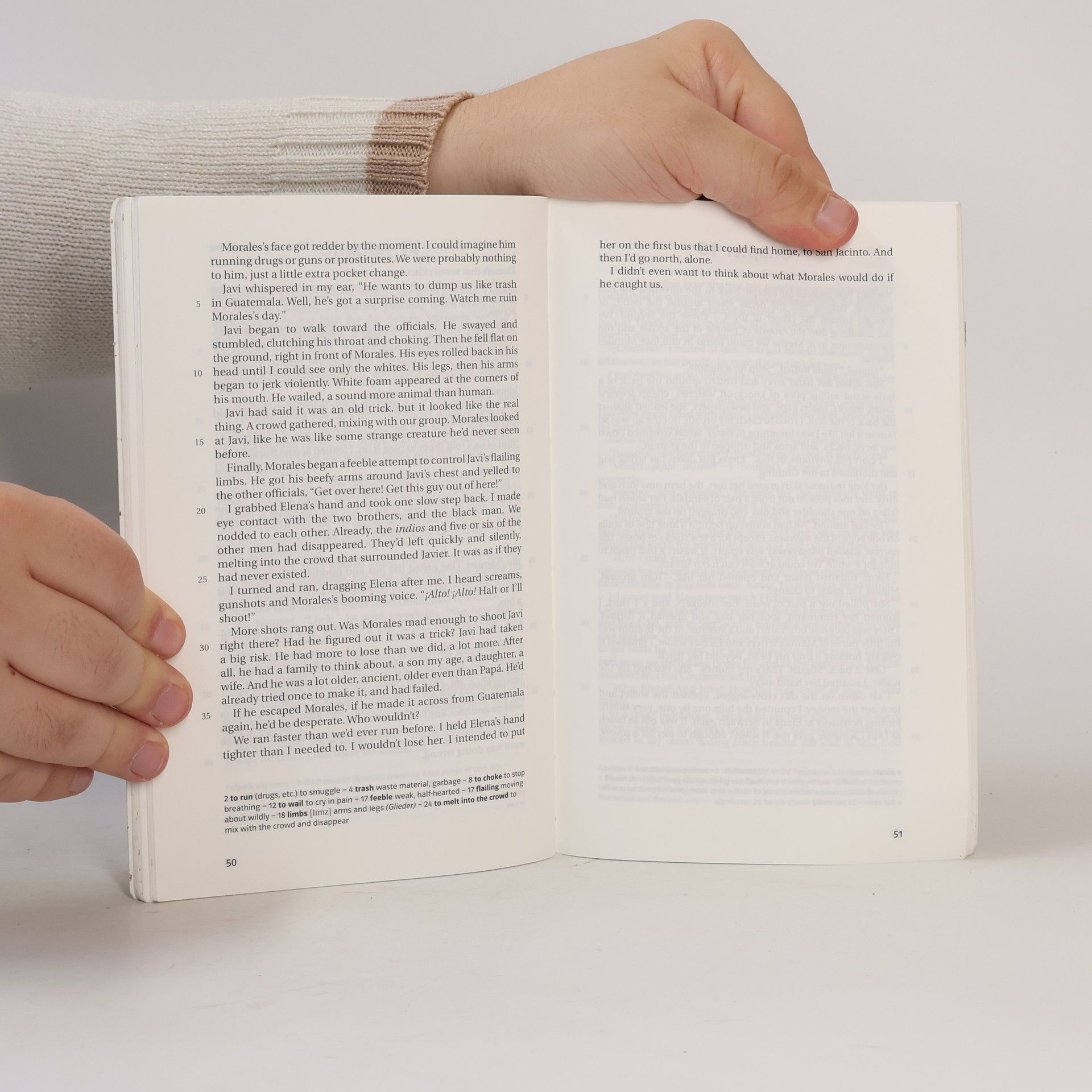 Ann Jaramillo La Línea. Englische Lektüre für das 5. Lernjahr