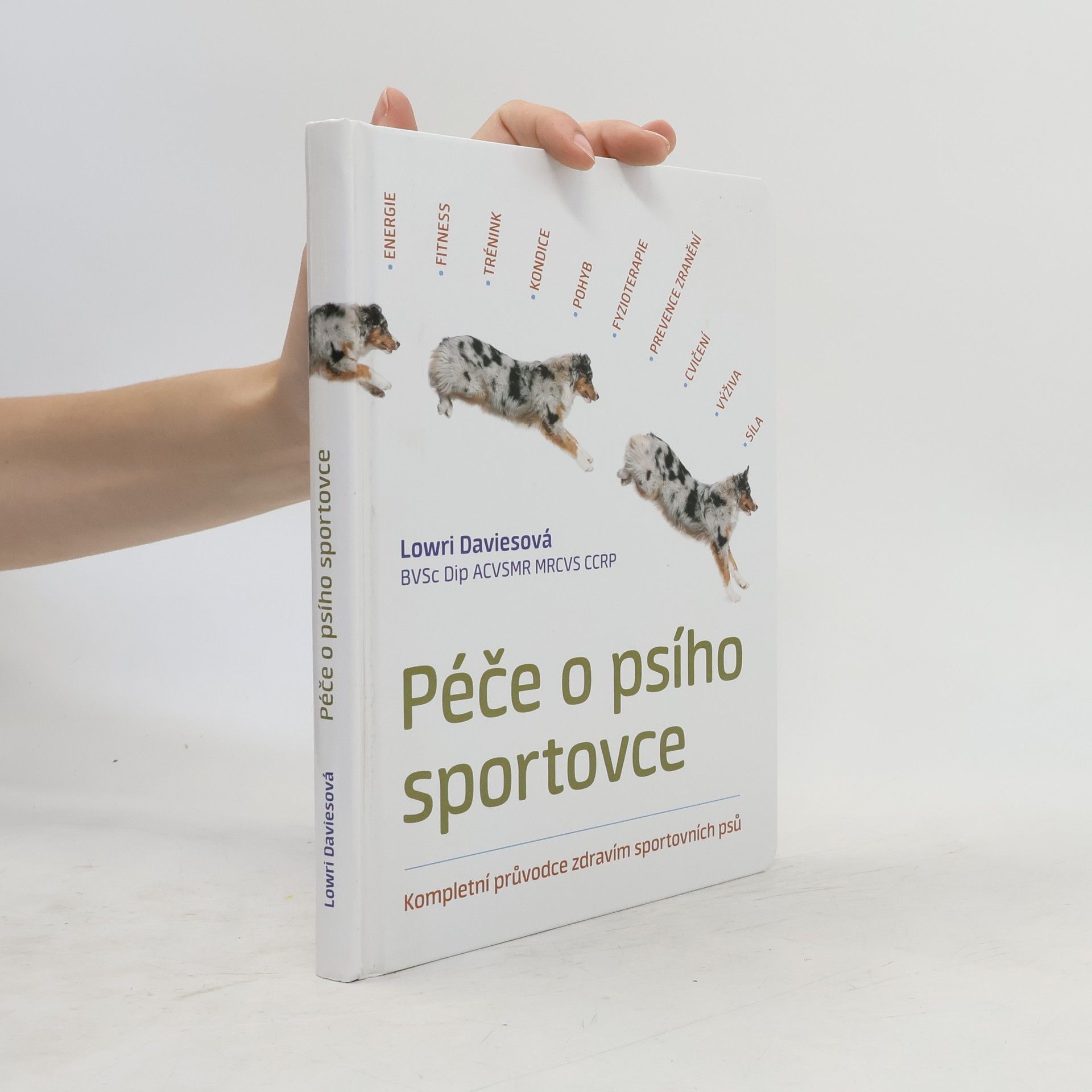 Lowri Davies Péče o psího sportovce