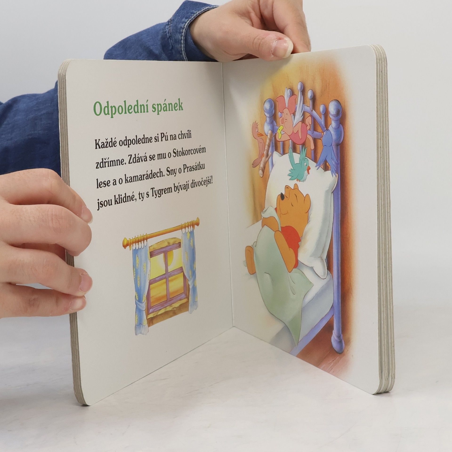 Autorenkollektiv Medvídek Pú - Den s Púem
